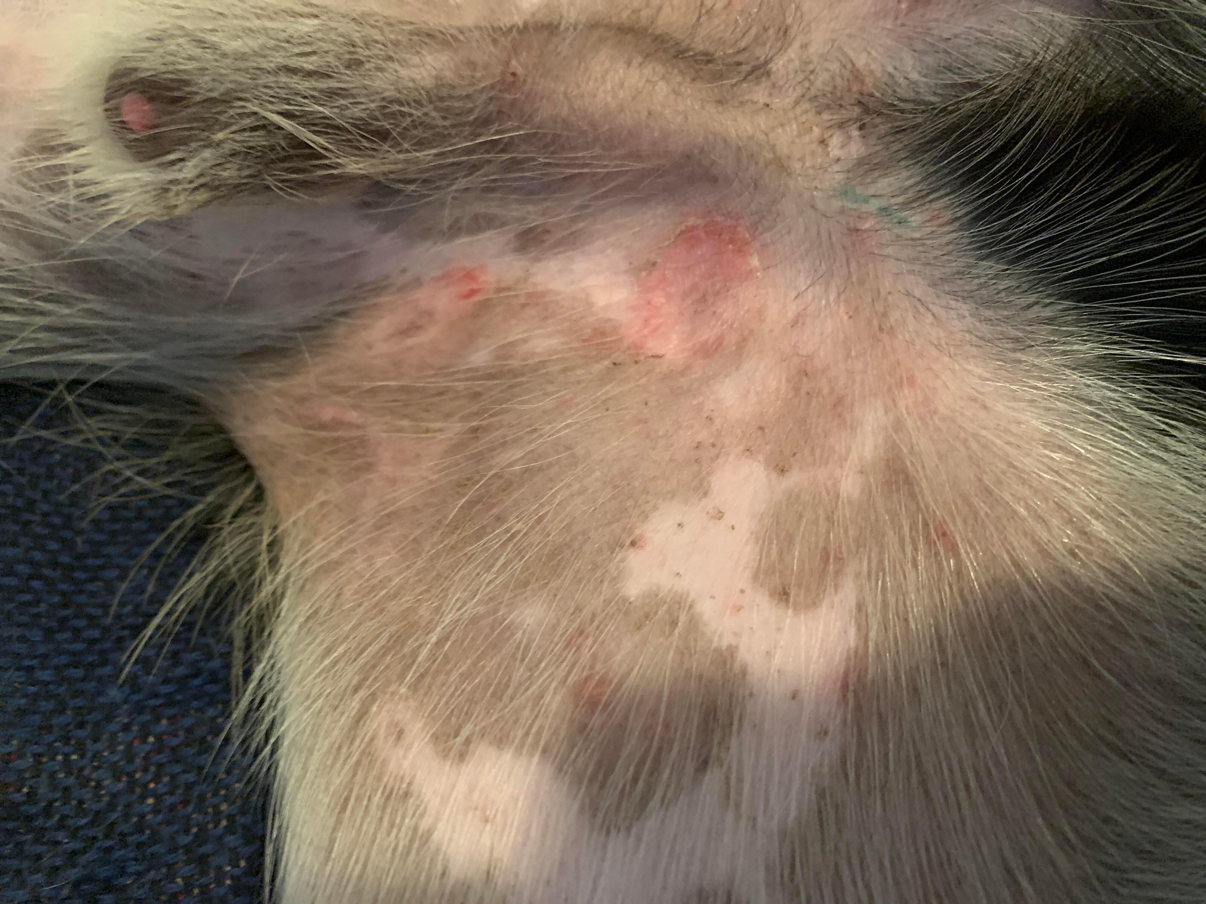 Question details sensitive content