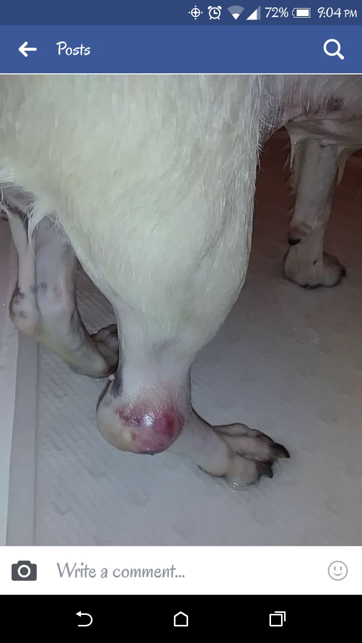 Question details sensitive content