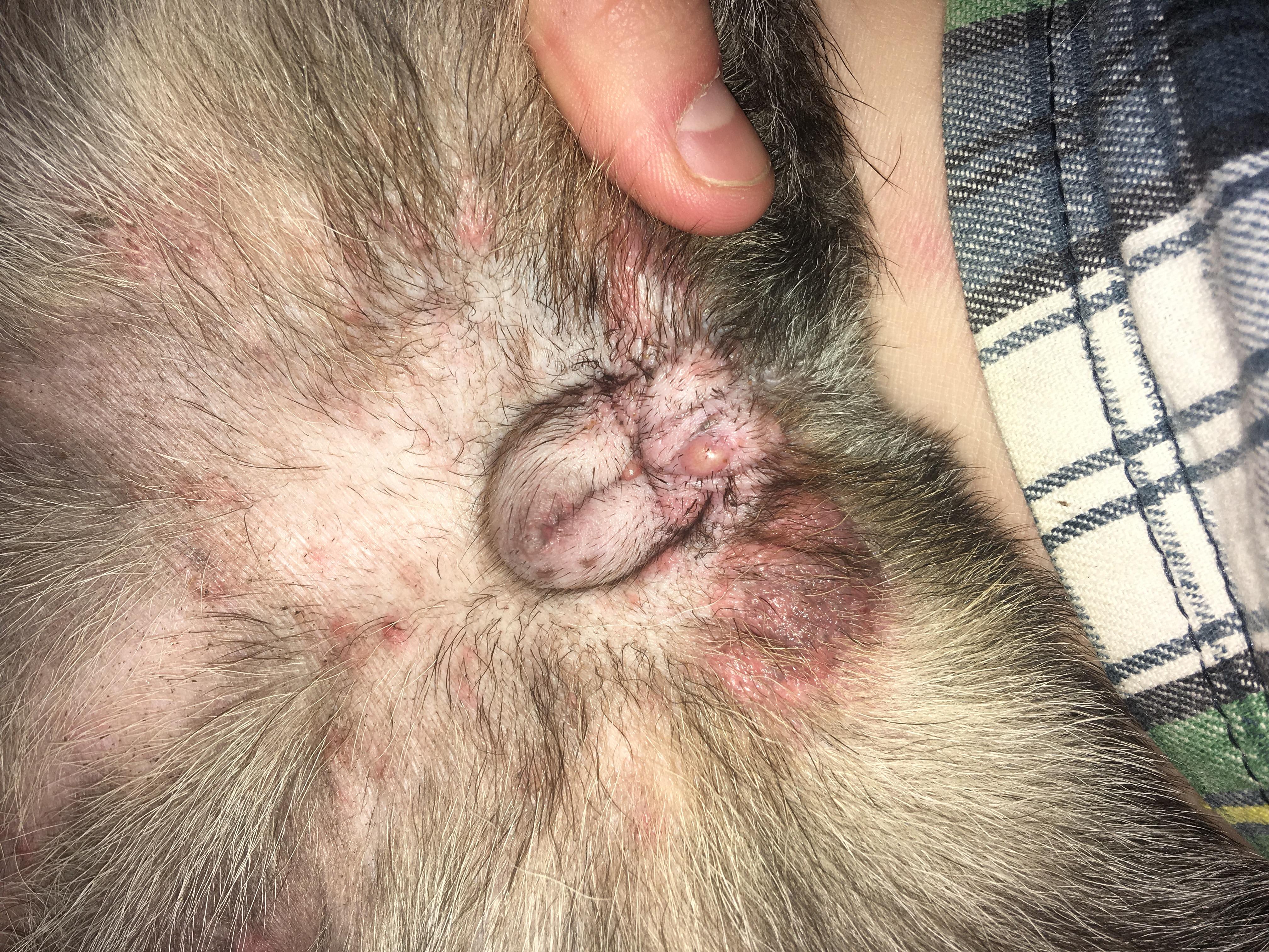 Question details sensitive content