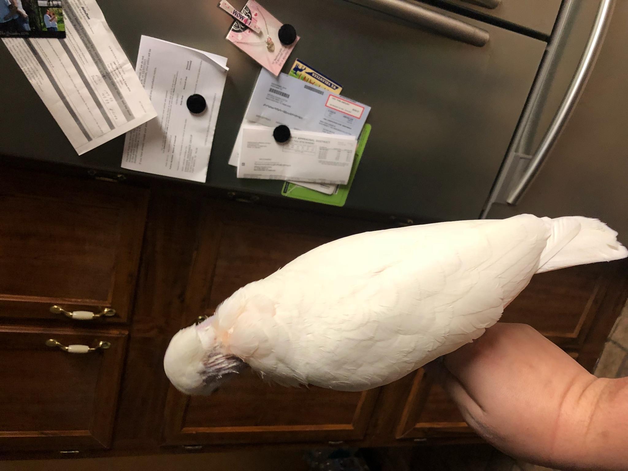 Question details sensitive content