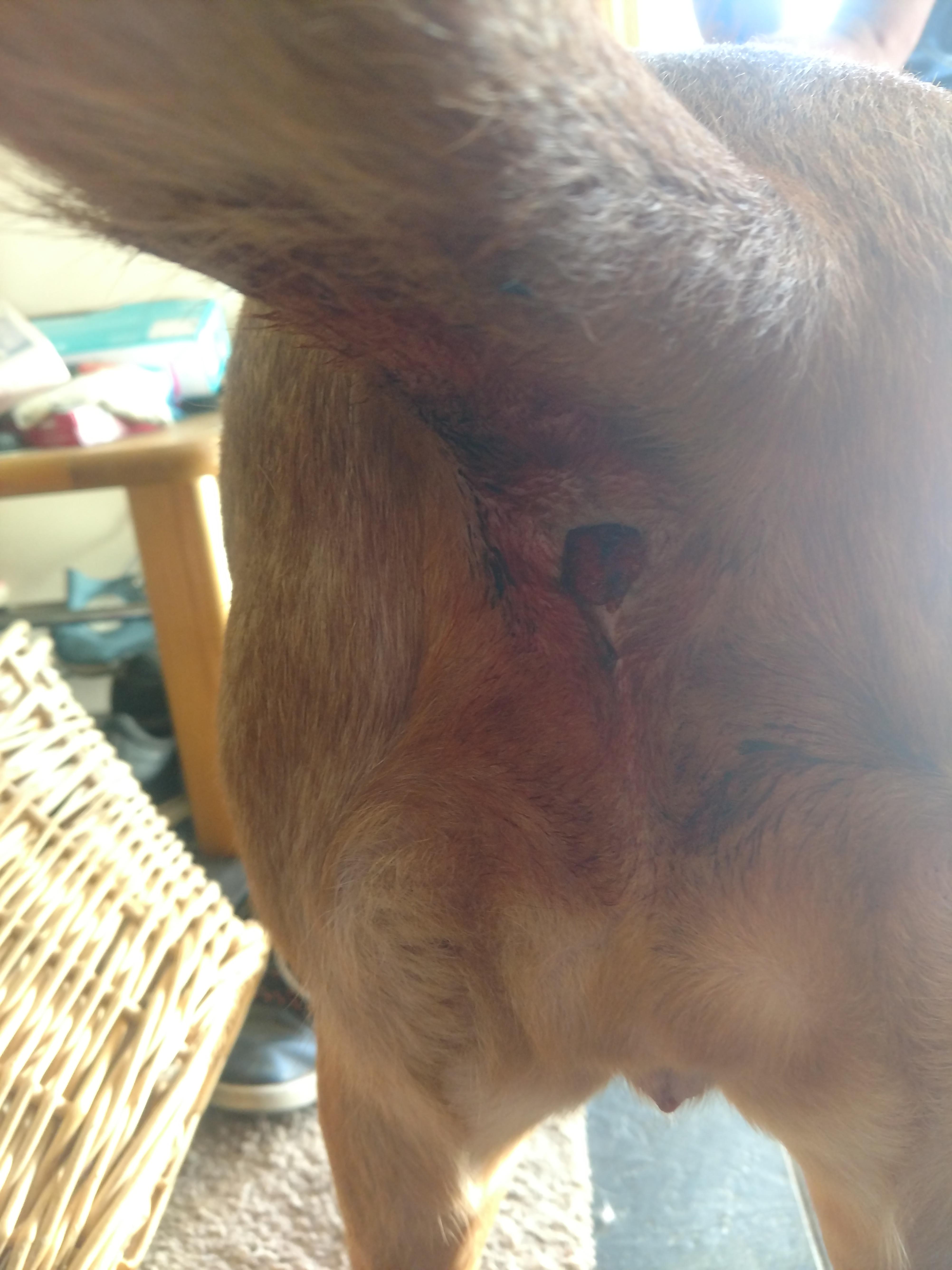 Question details sensitive content