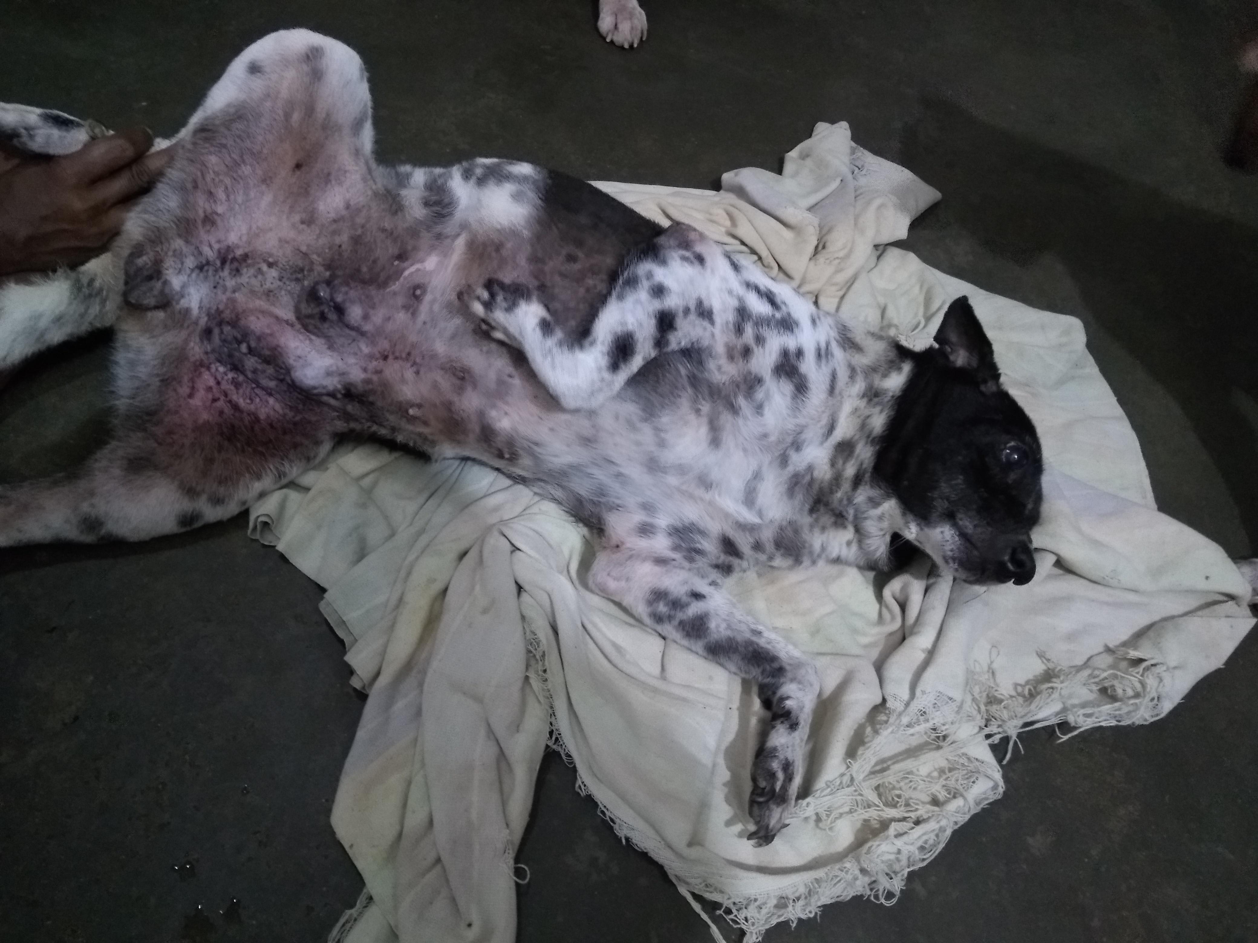 Question details sensitive content