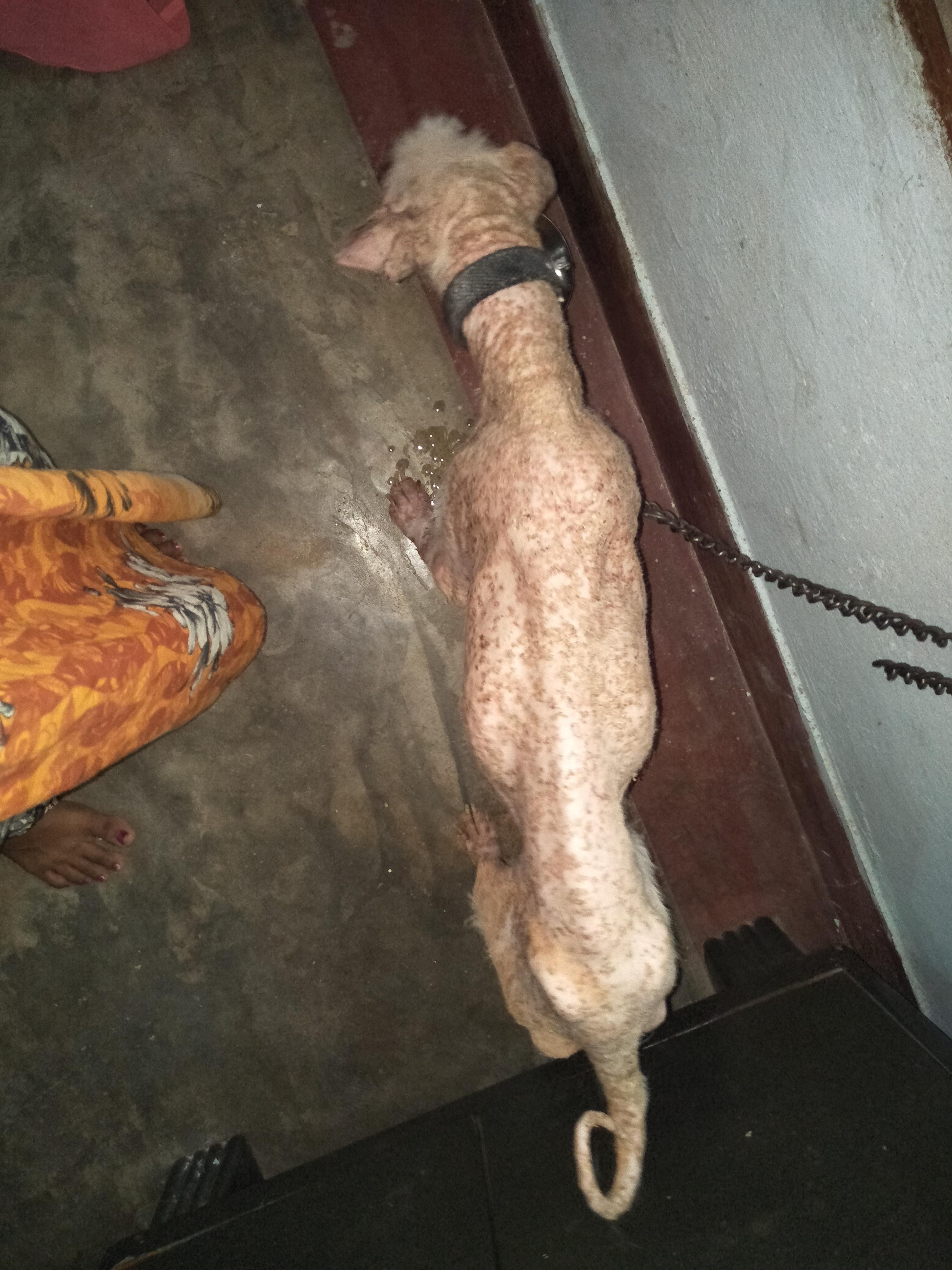 Question details sensitive content