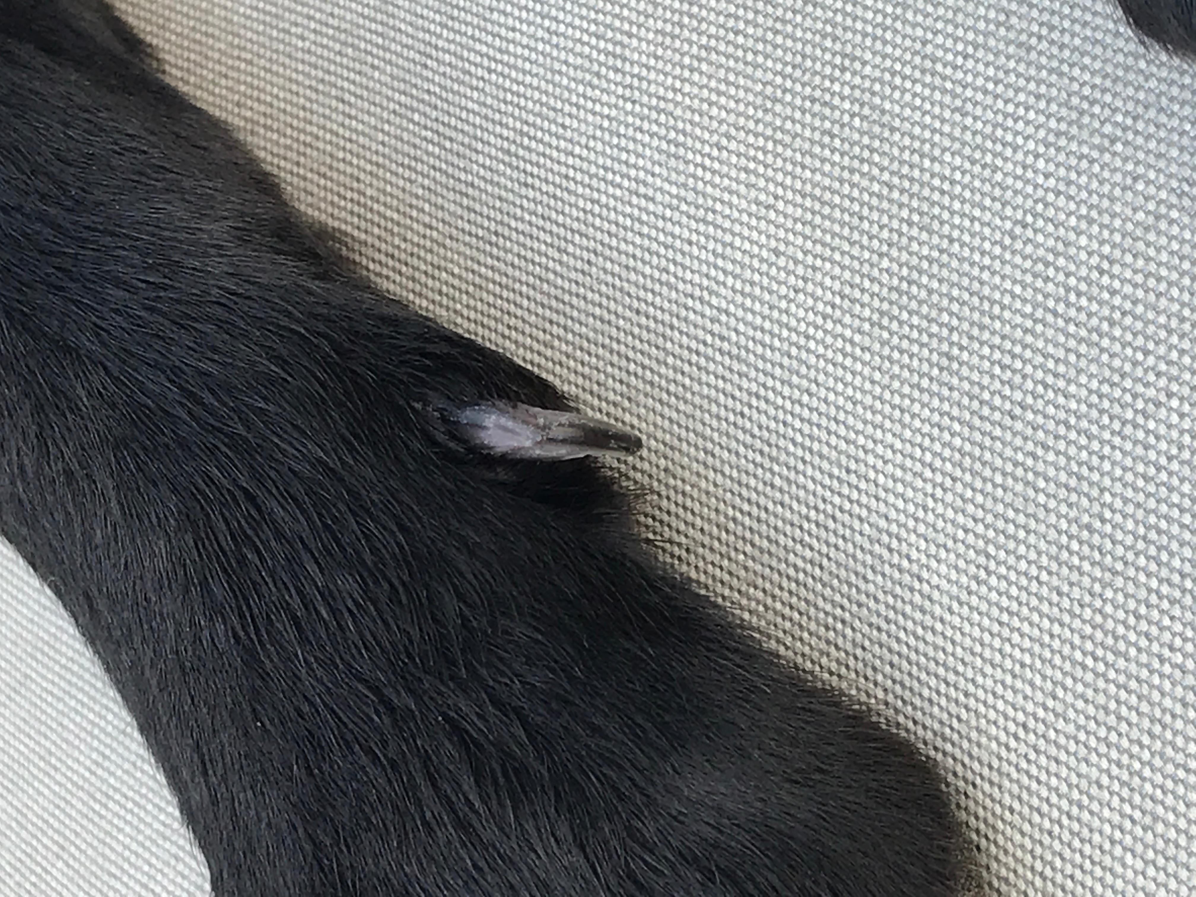 Question details sensitive content