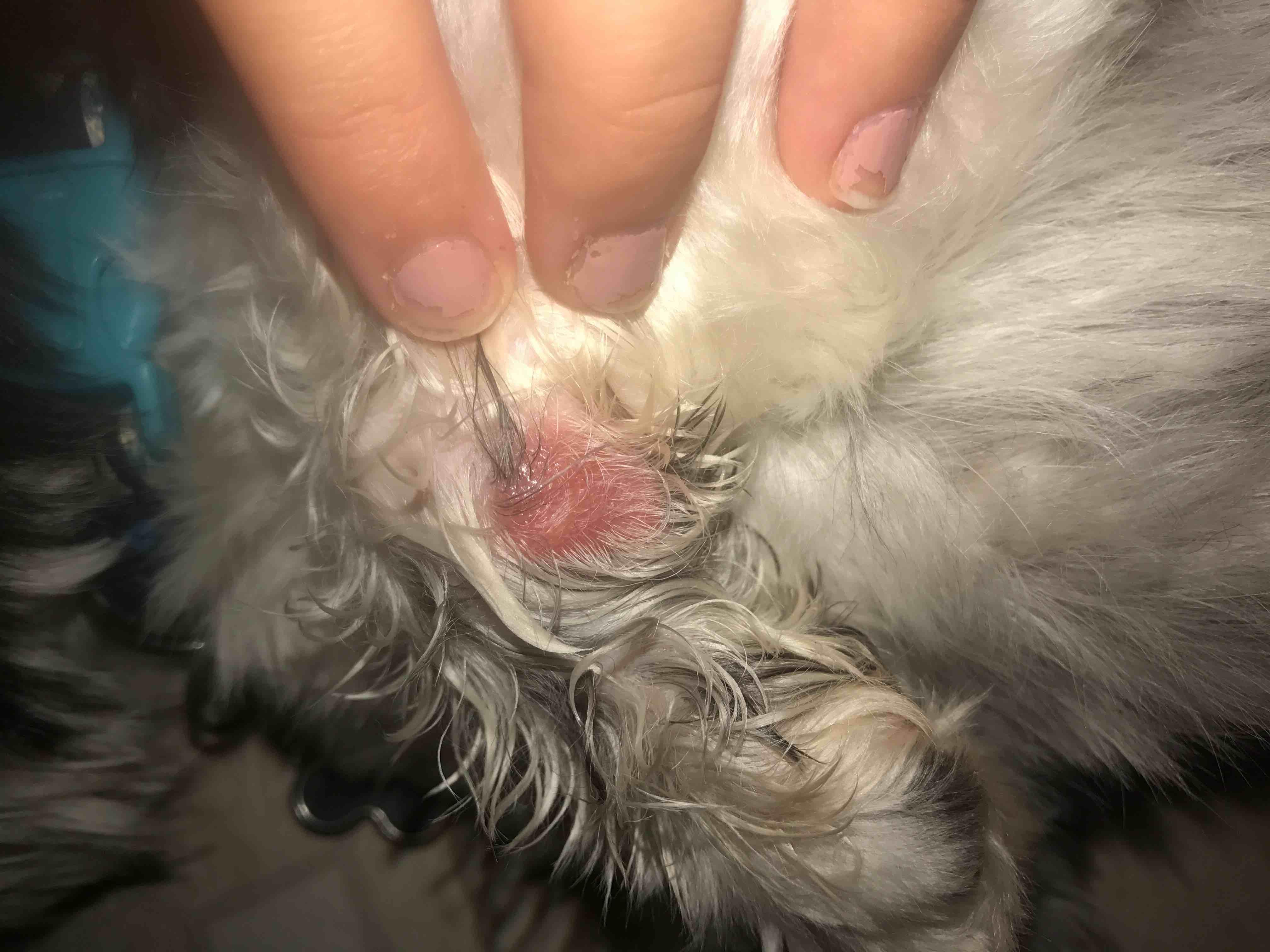 Question details sensitive content