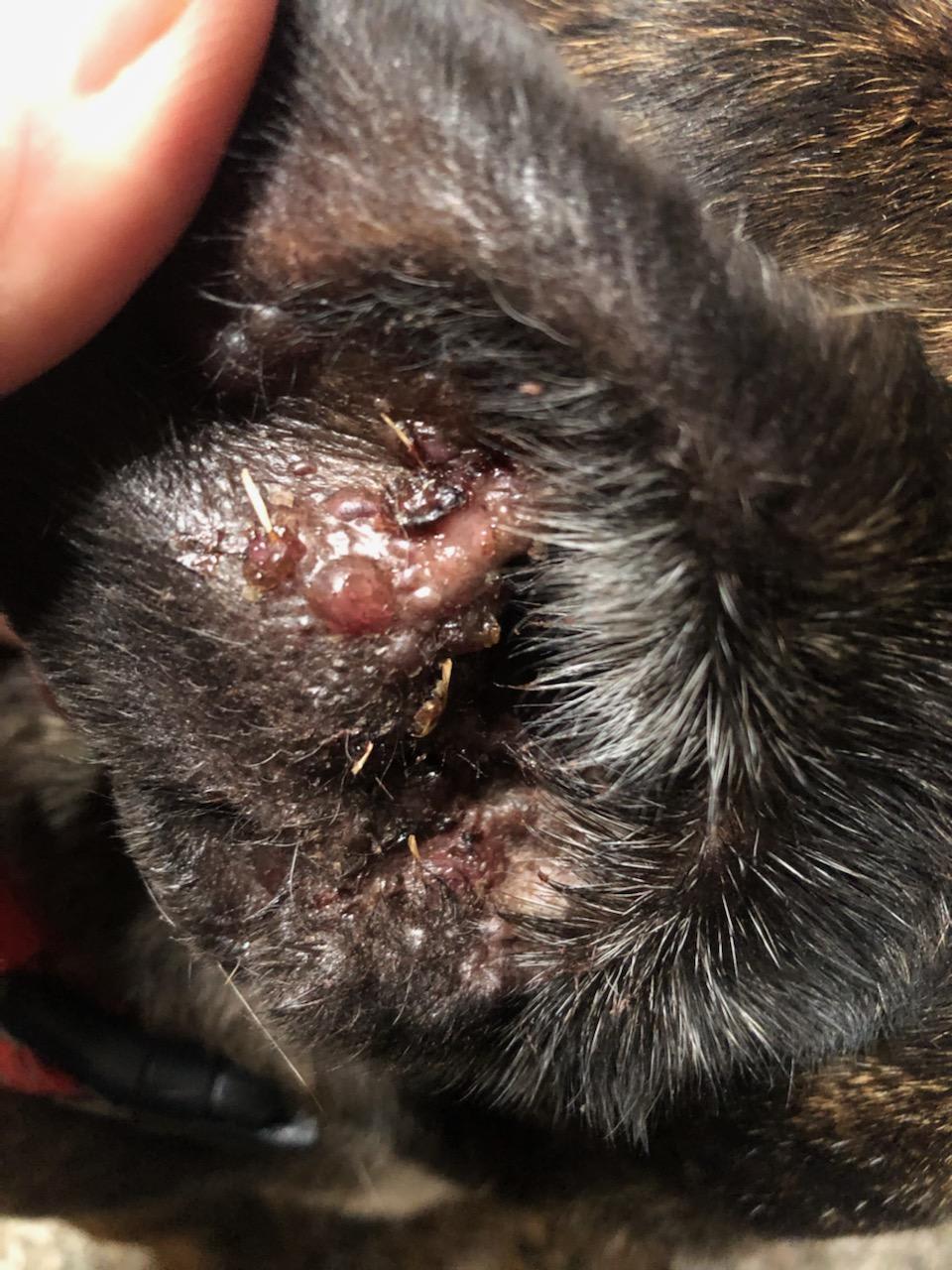 Question details sensitive content