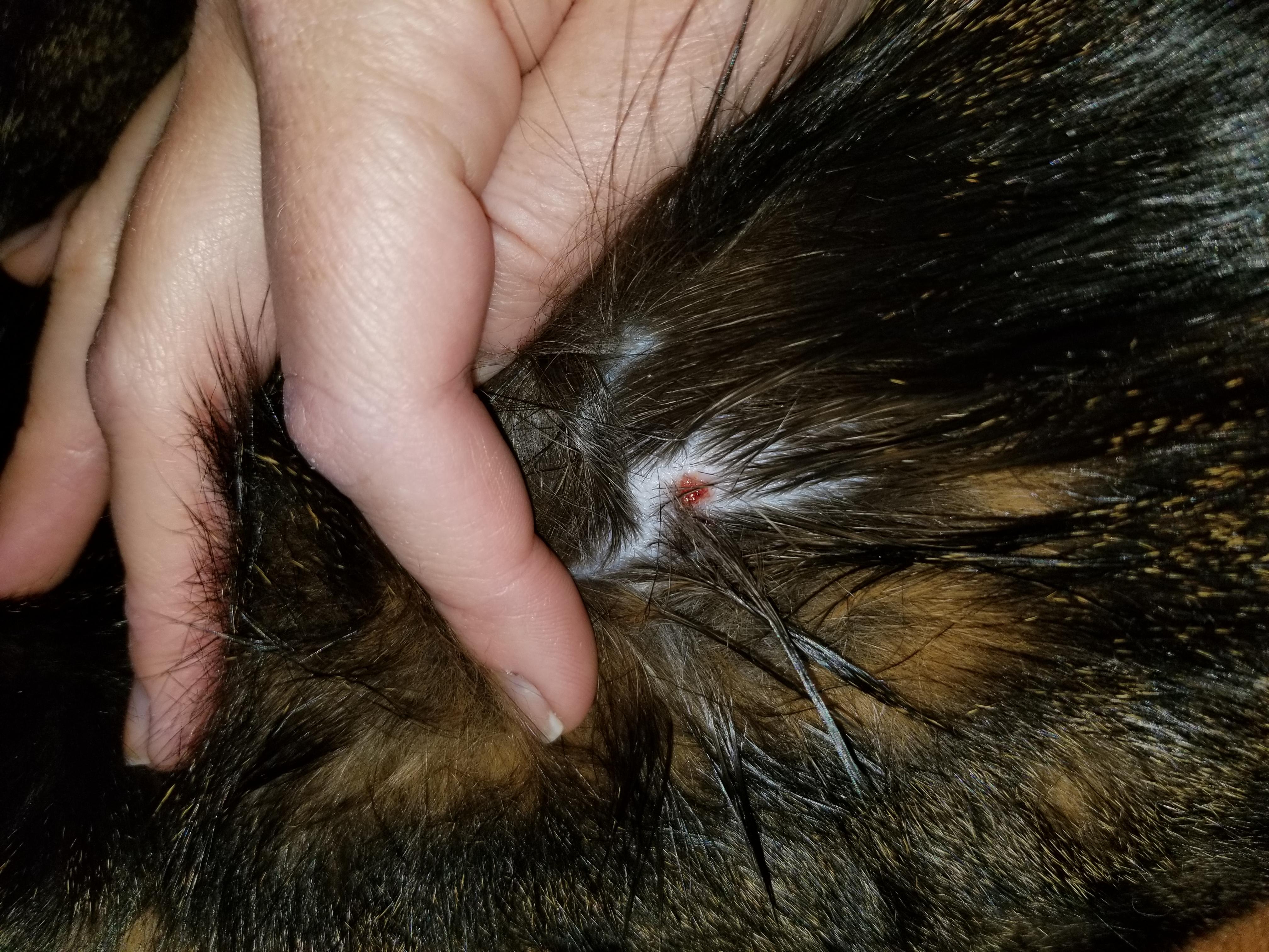 Question details sensitive content