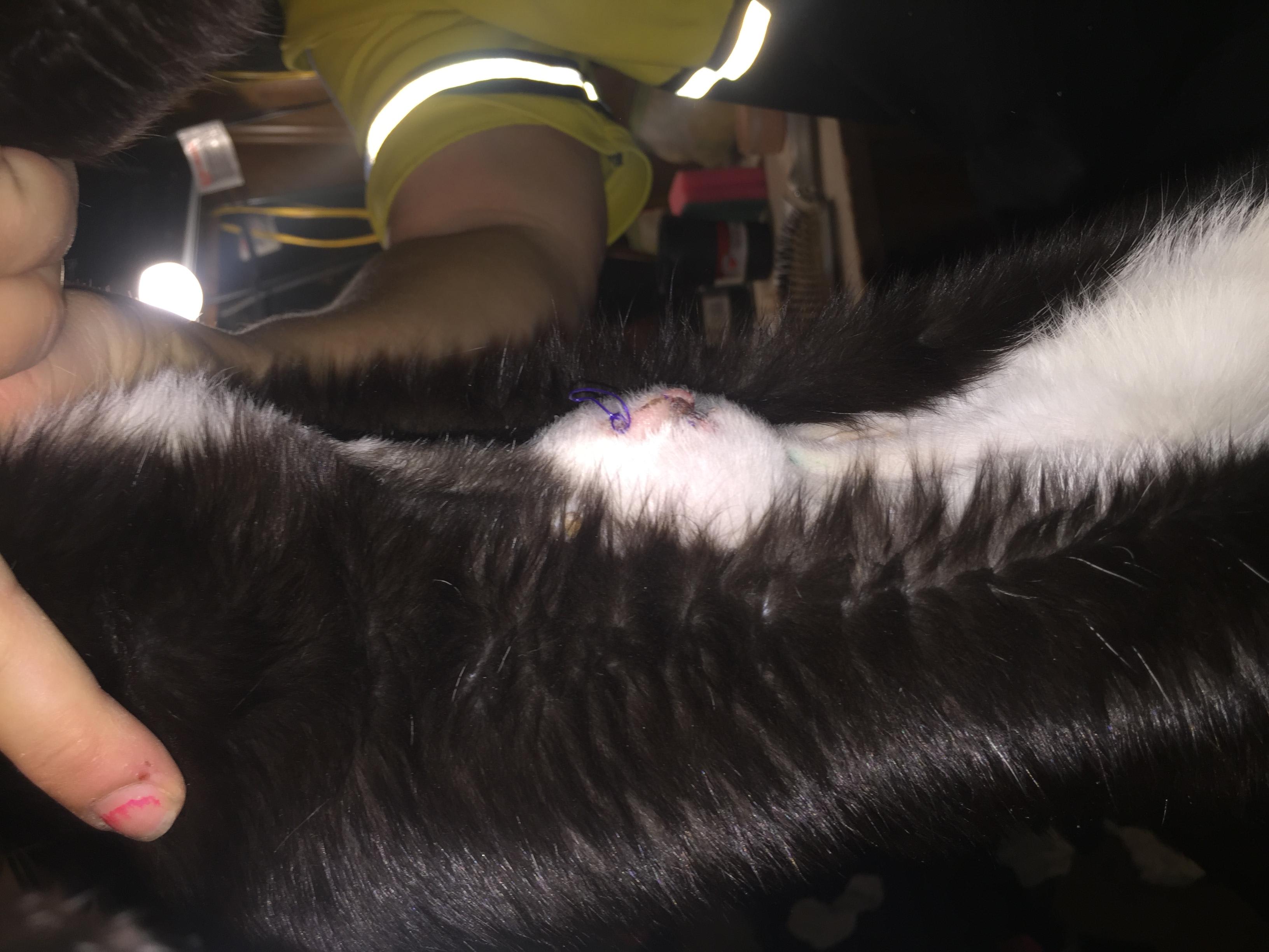 Question details sensitive content