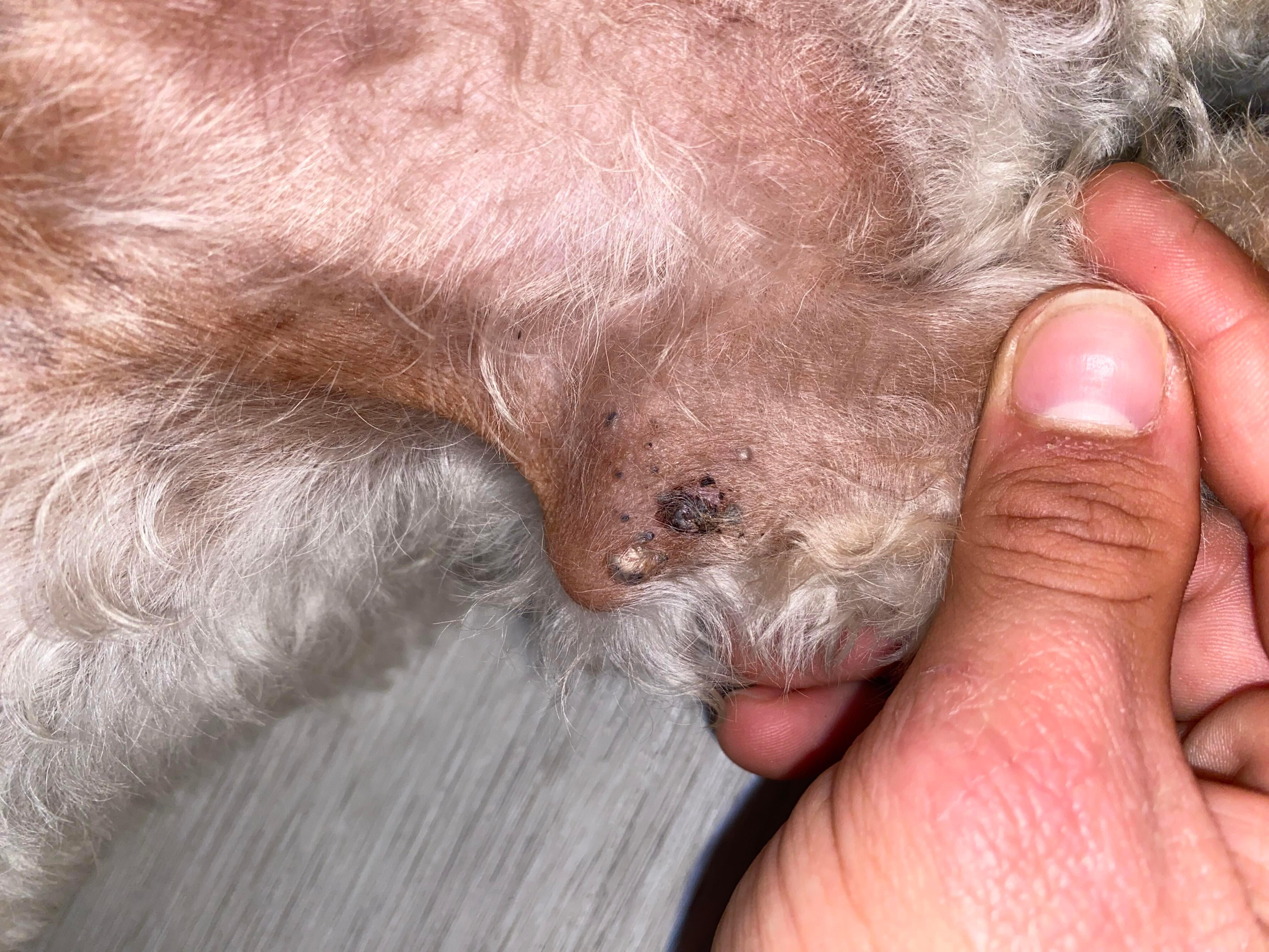 Question details sensitive content