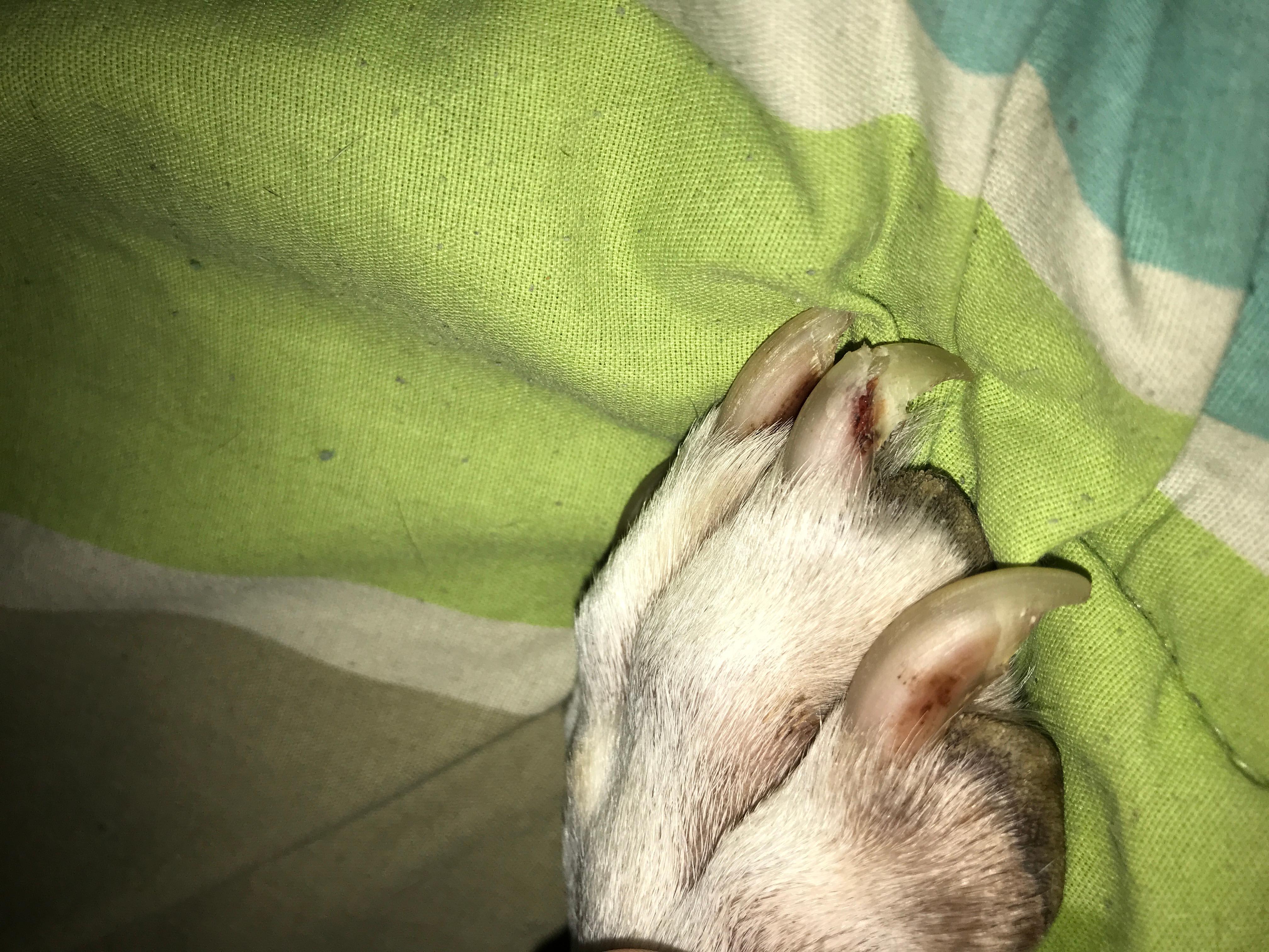 Question details sensitive content