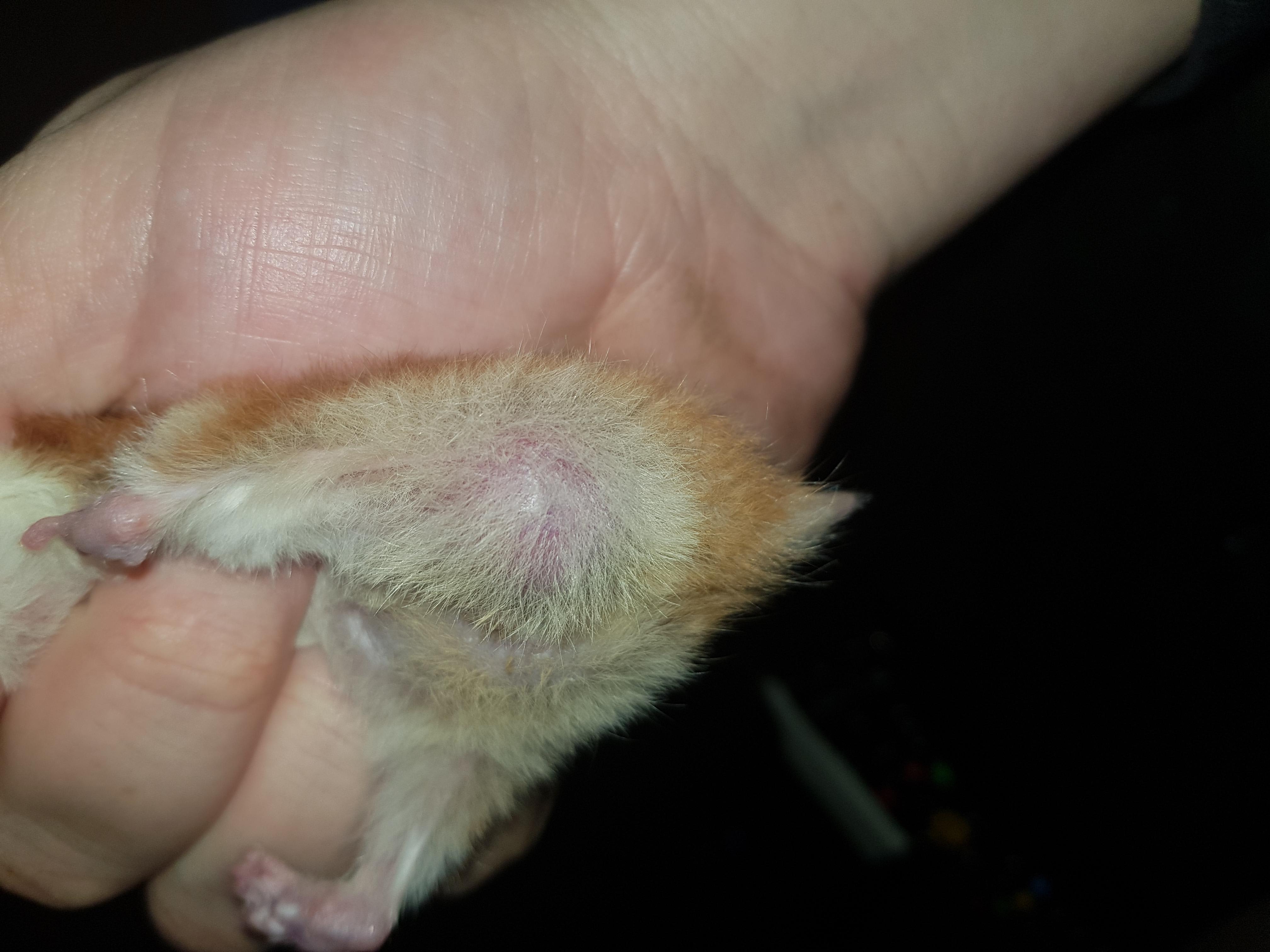 Question details sensitive content