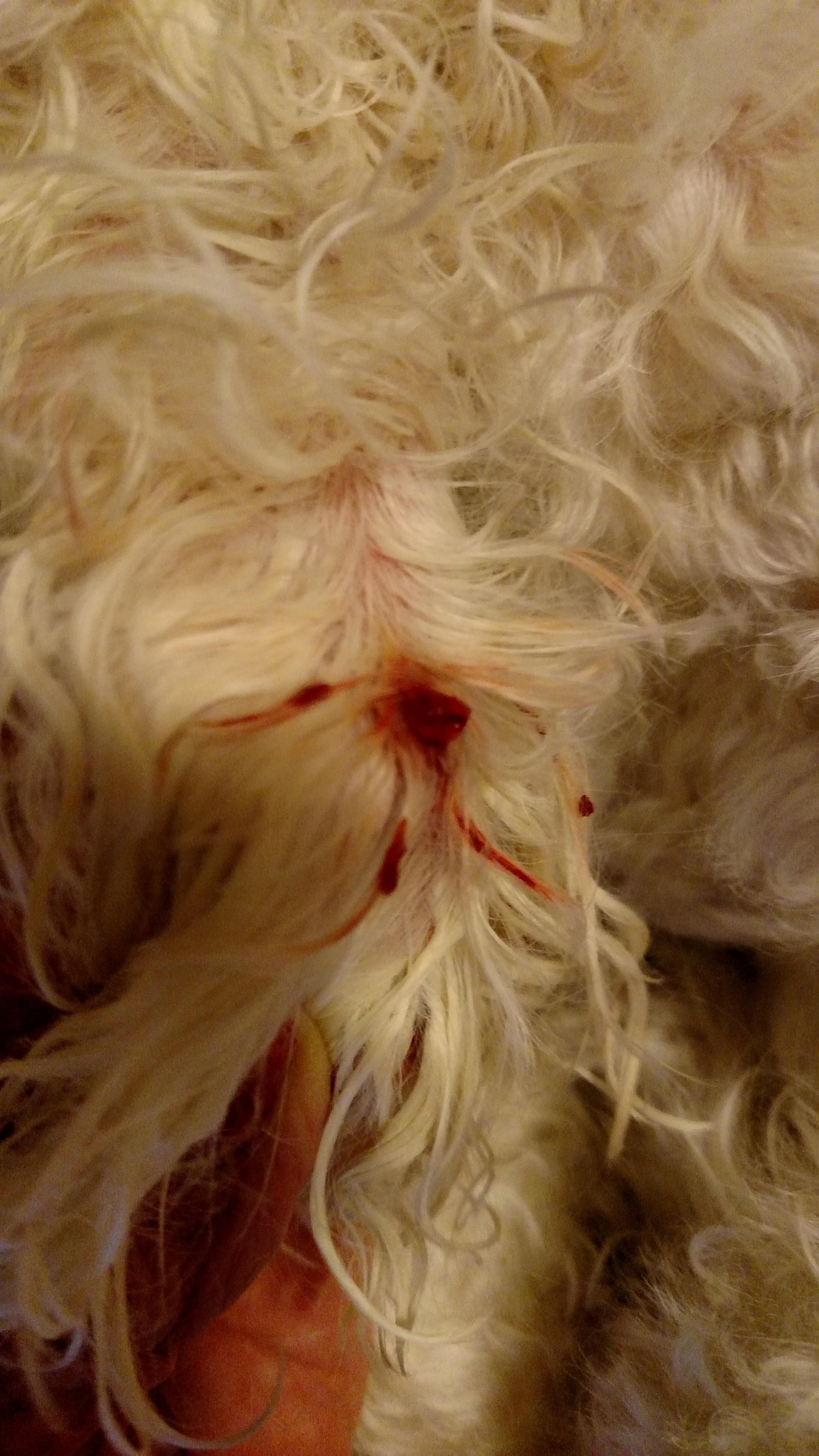 Question details sensitive content