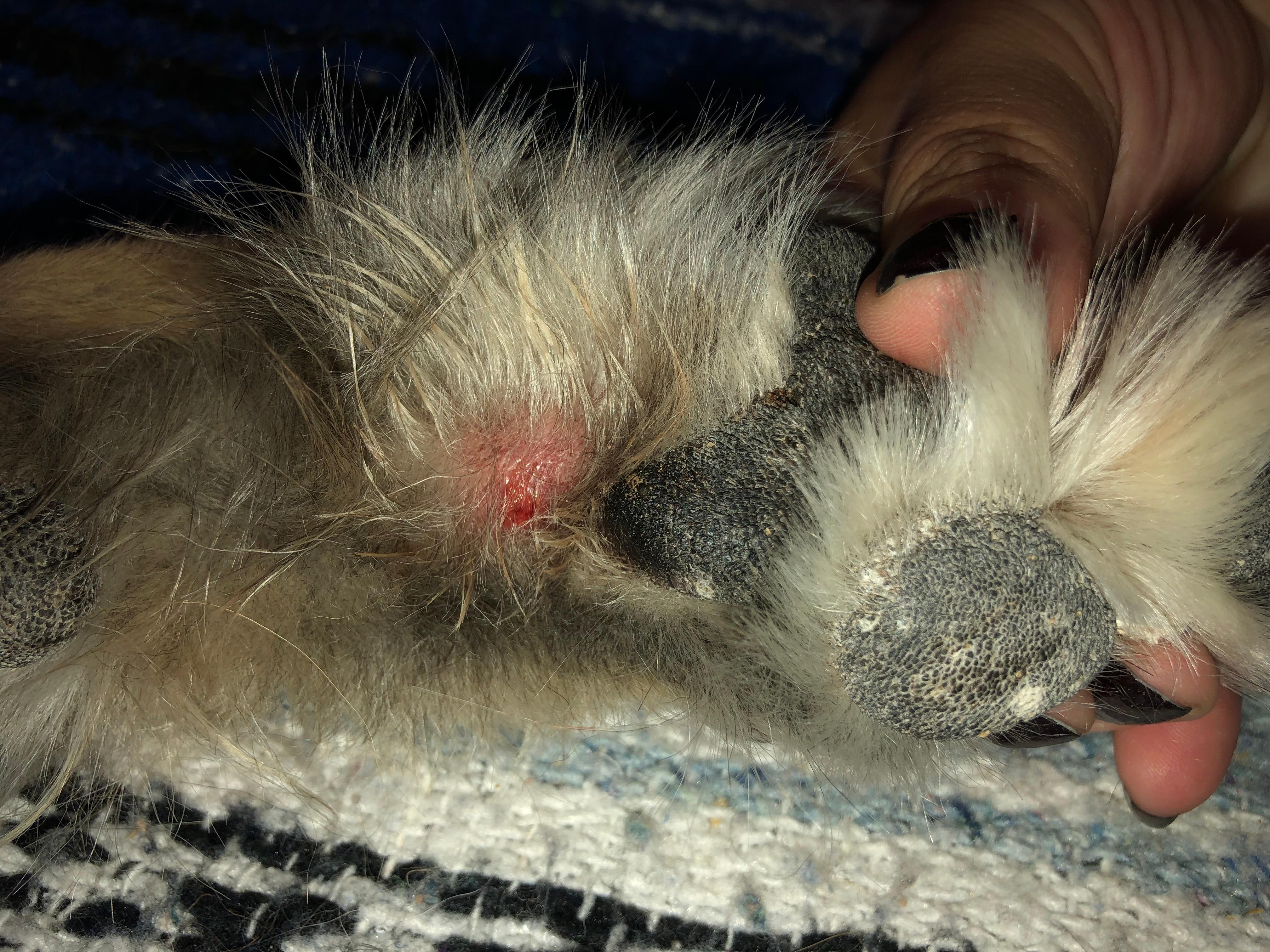 Question details sensitive content