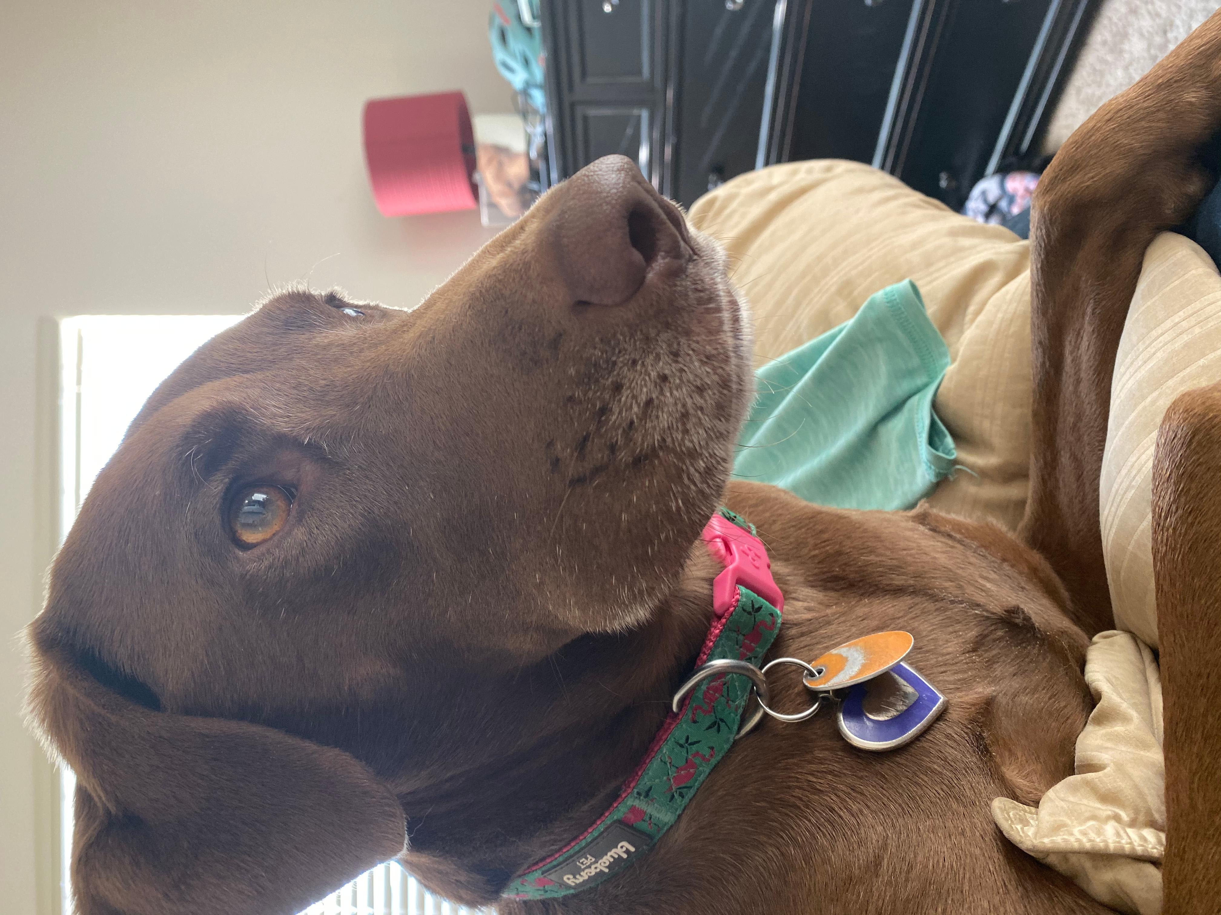 Question details sensitive content