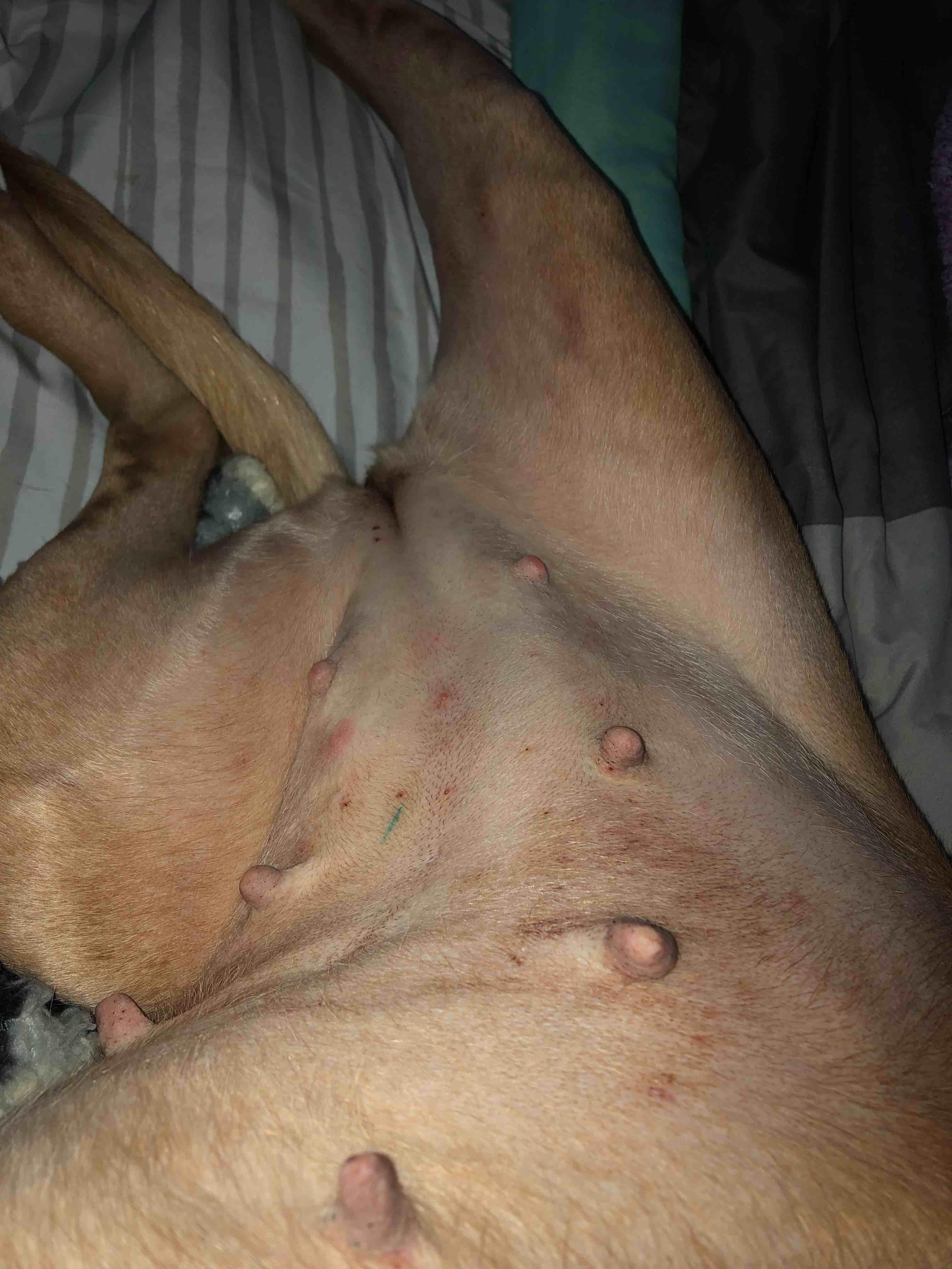 Question details sensitive content