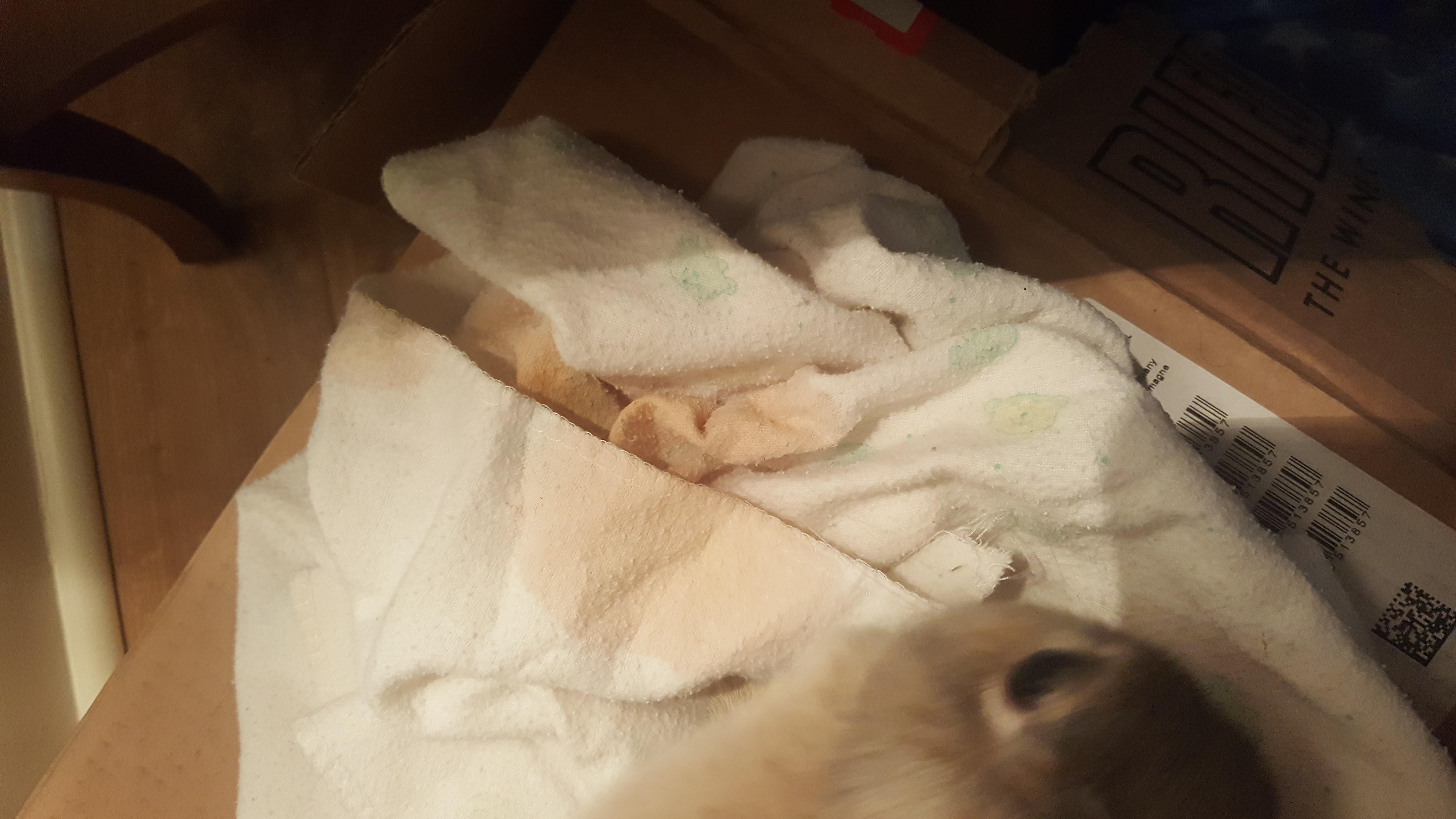 Question details sensitive content