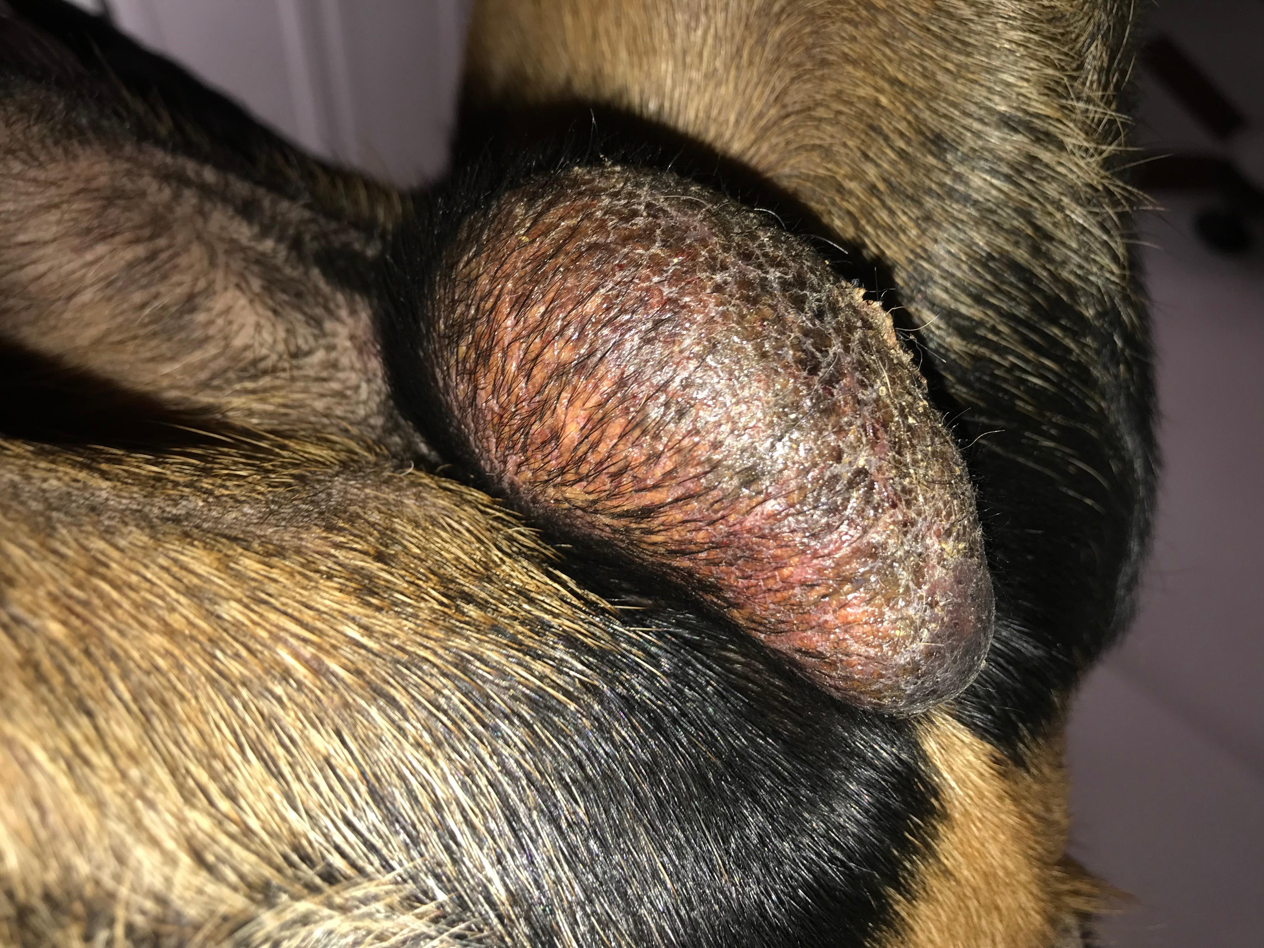 Question details sensitive content