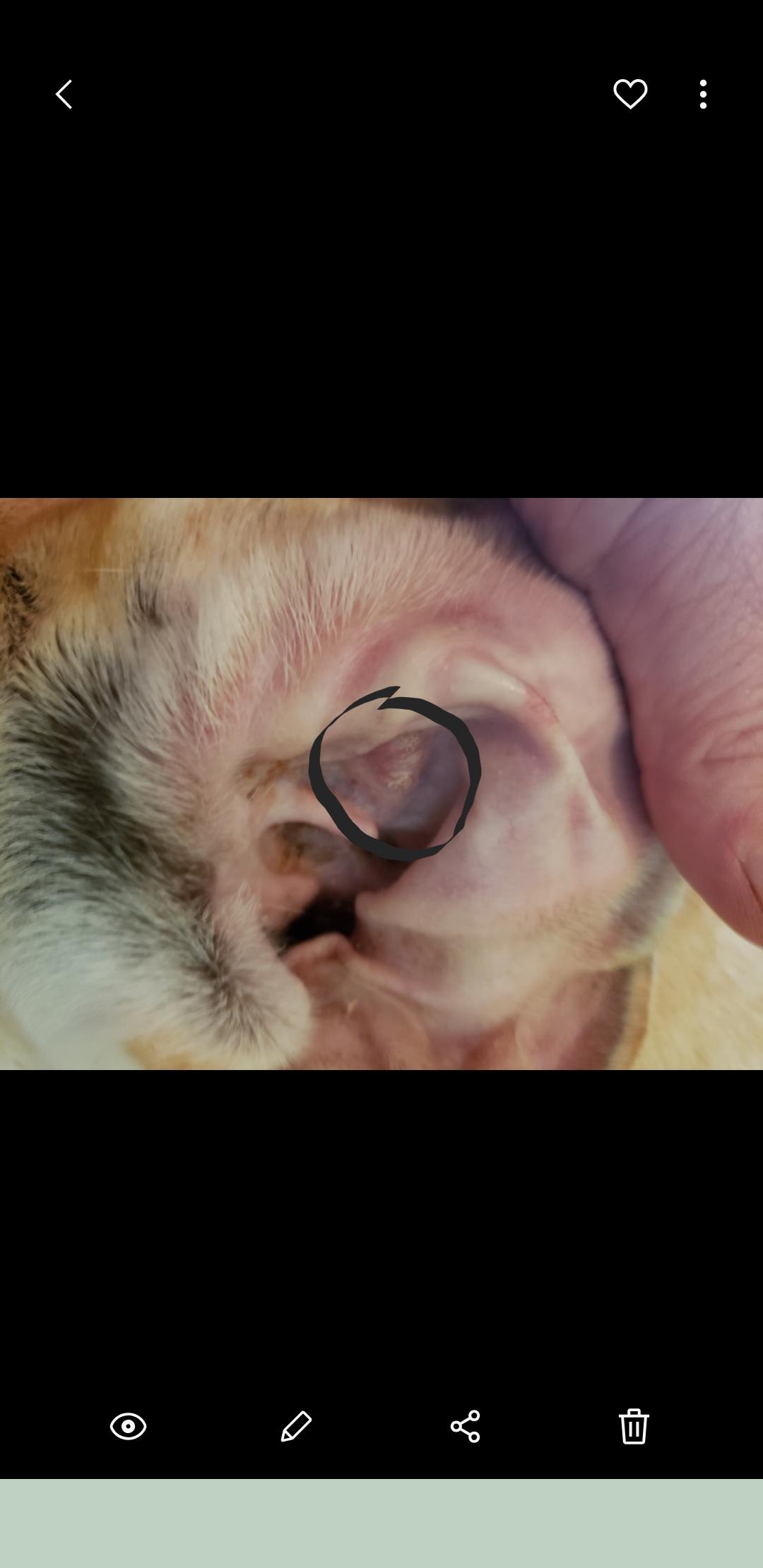 Question details sensitive content