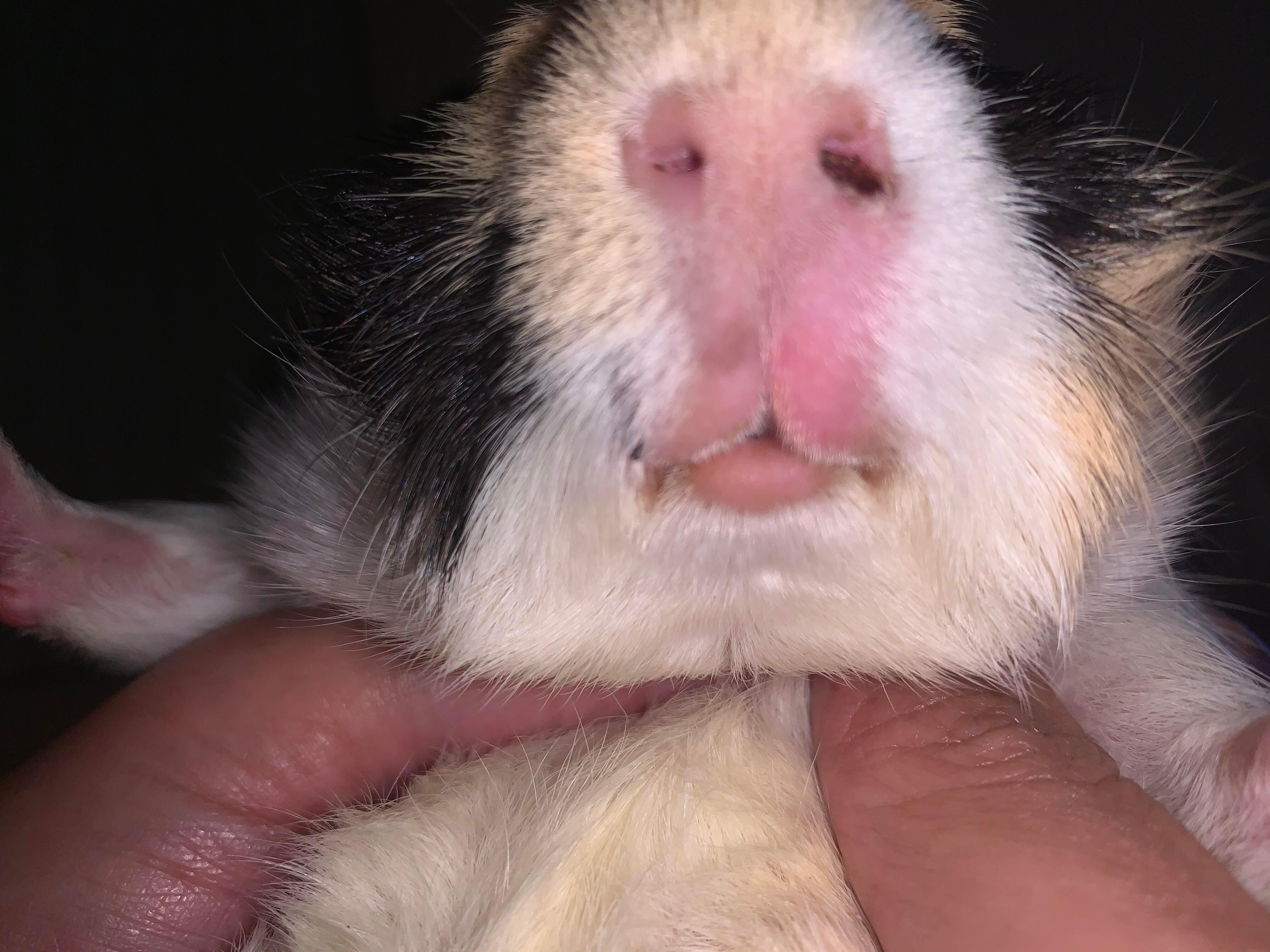 Question details sensitive content