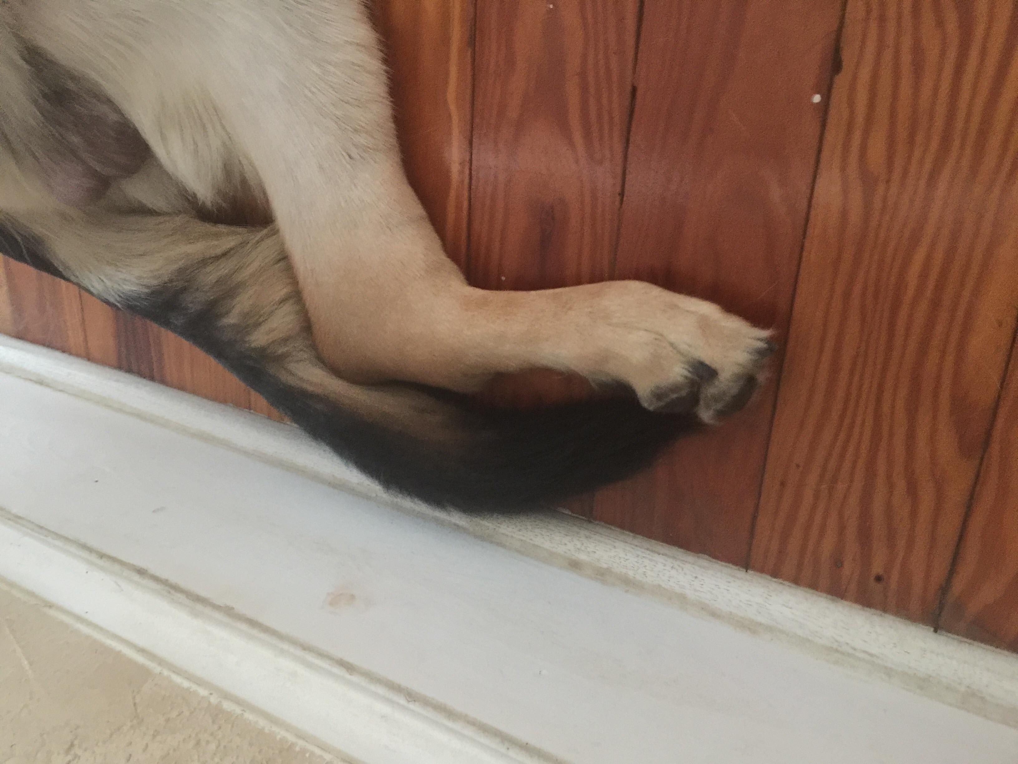 Question details sensitive content