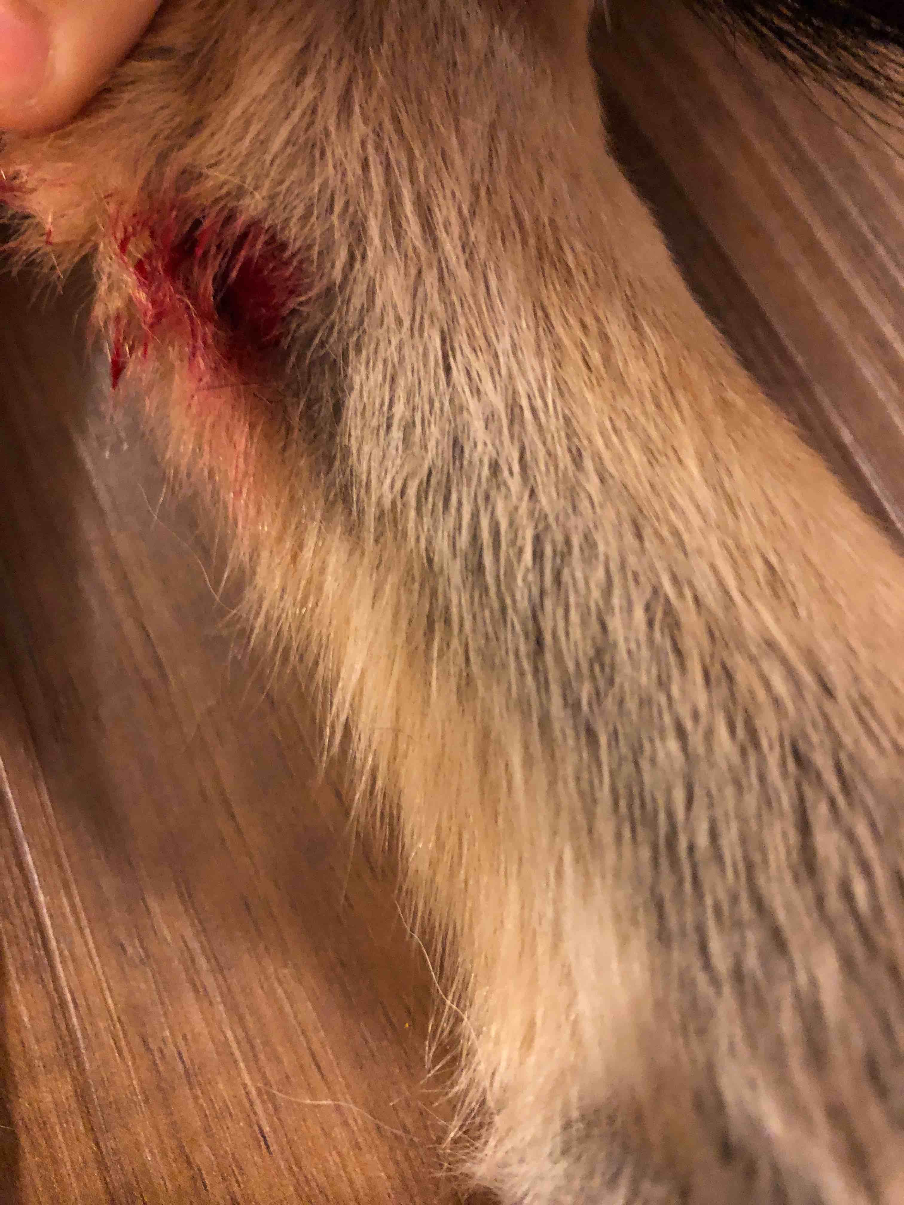 Question details sensitive content