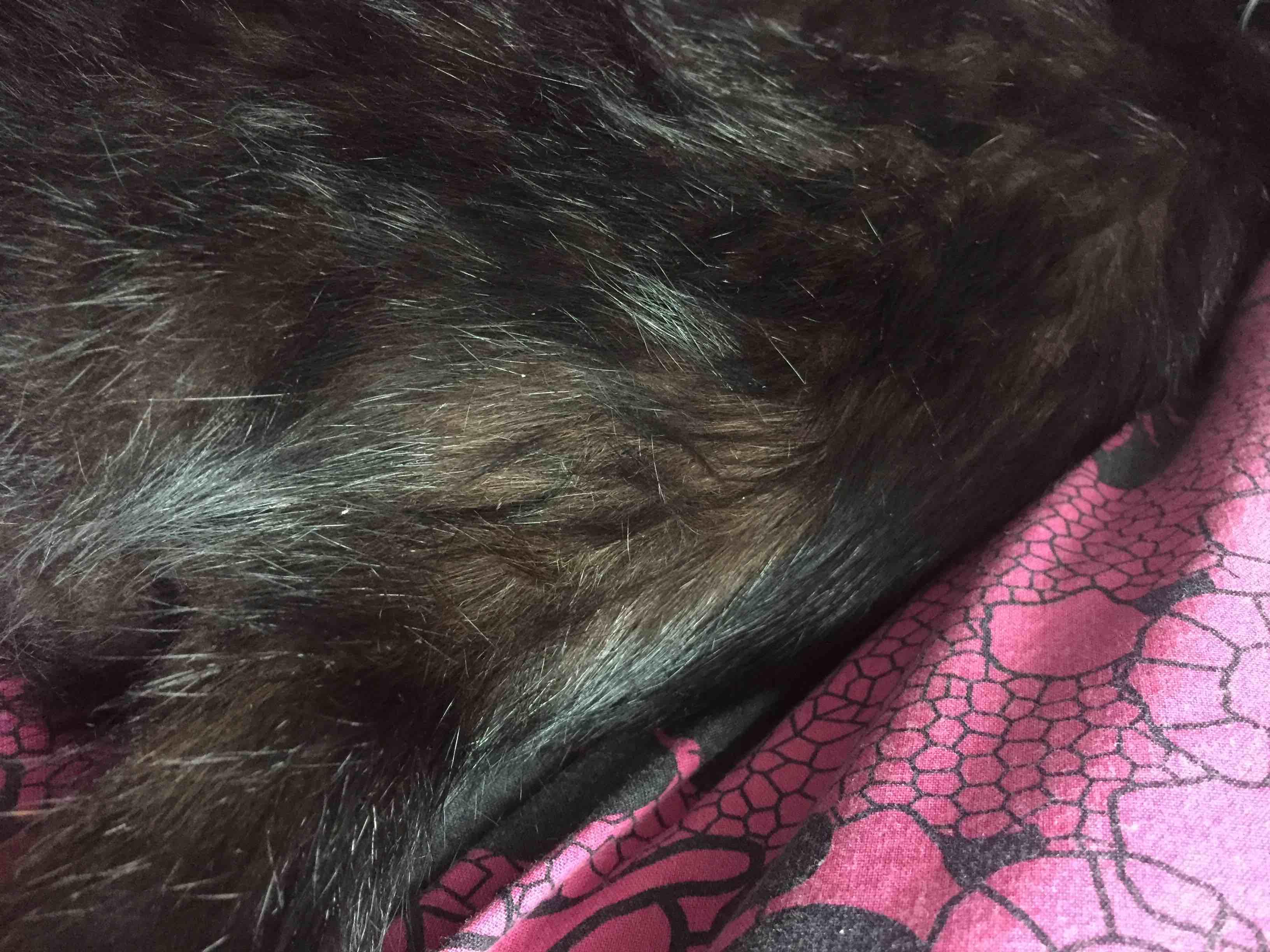 Question details sensitive content