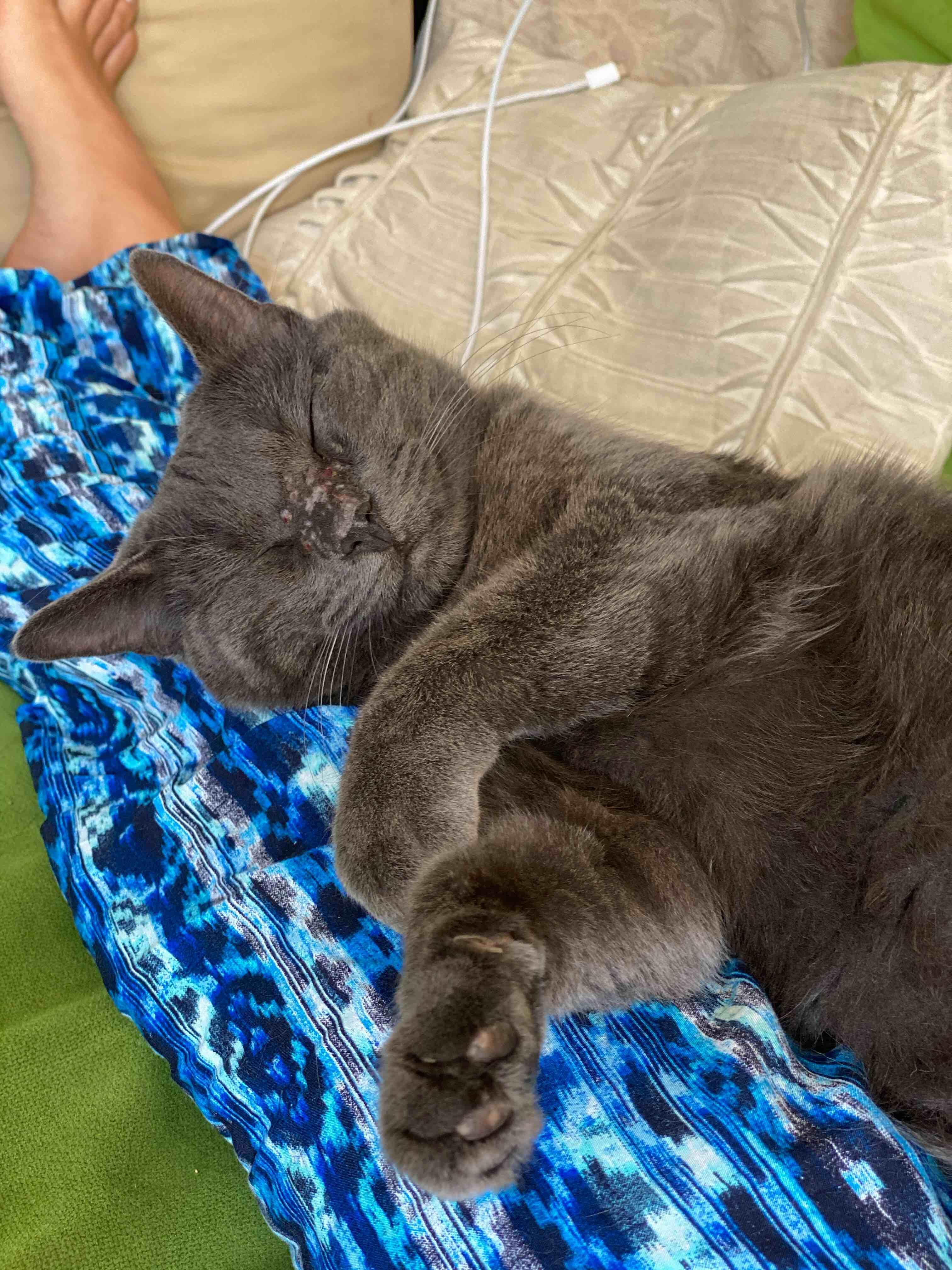 Question details sensitive content