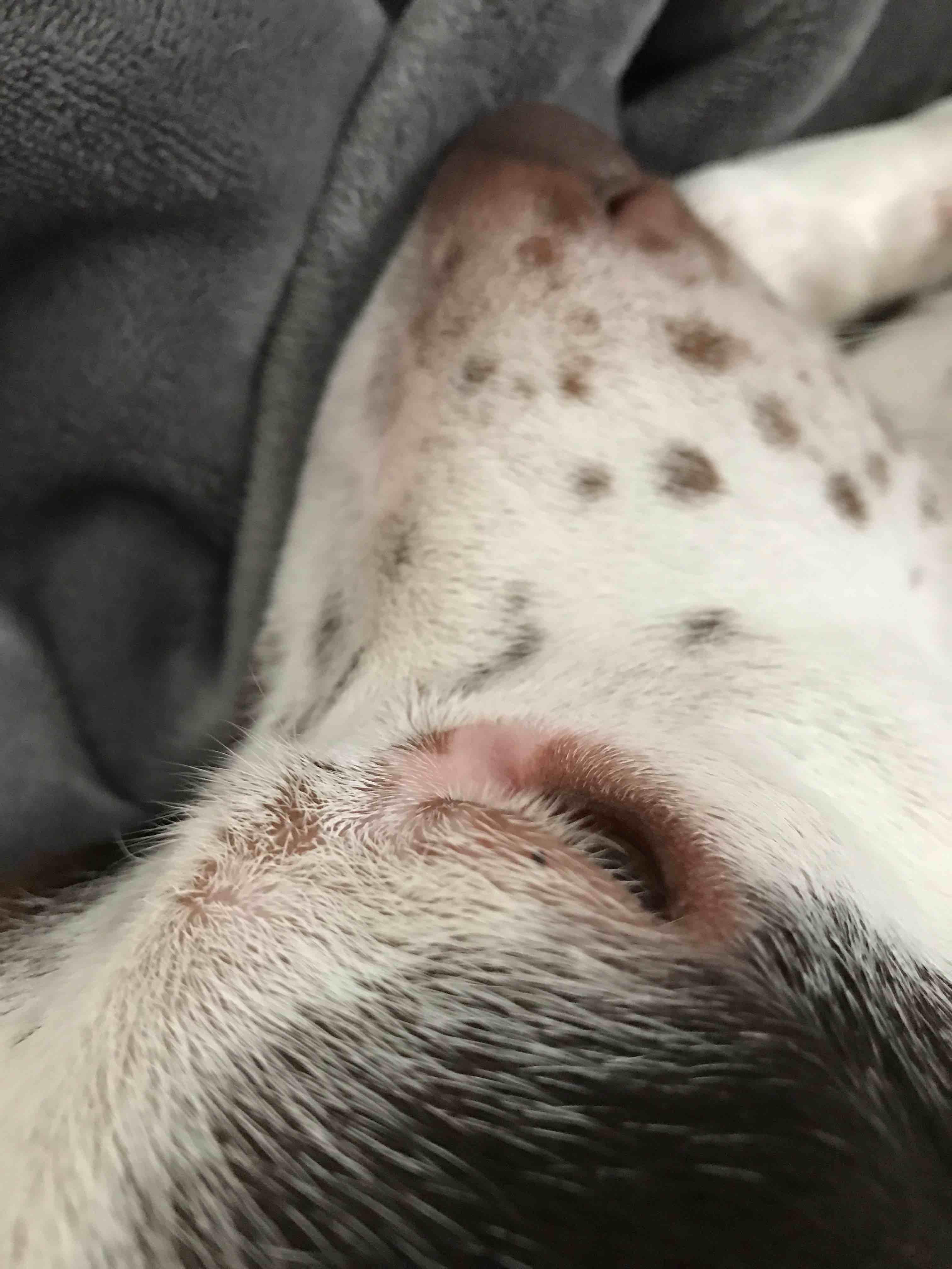 Question details sensitive content