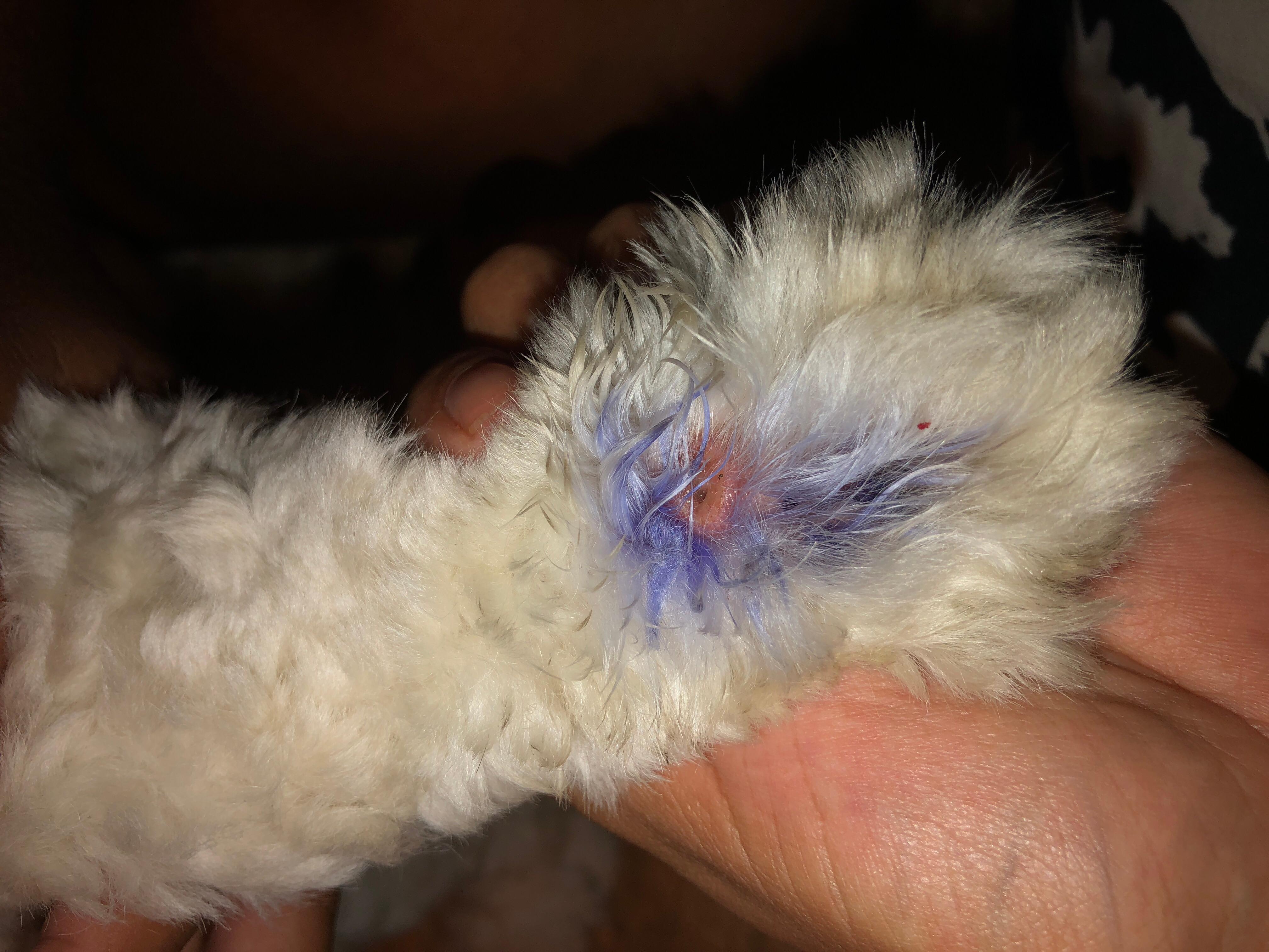 Question details sensitive content