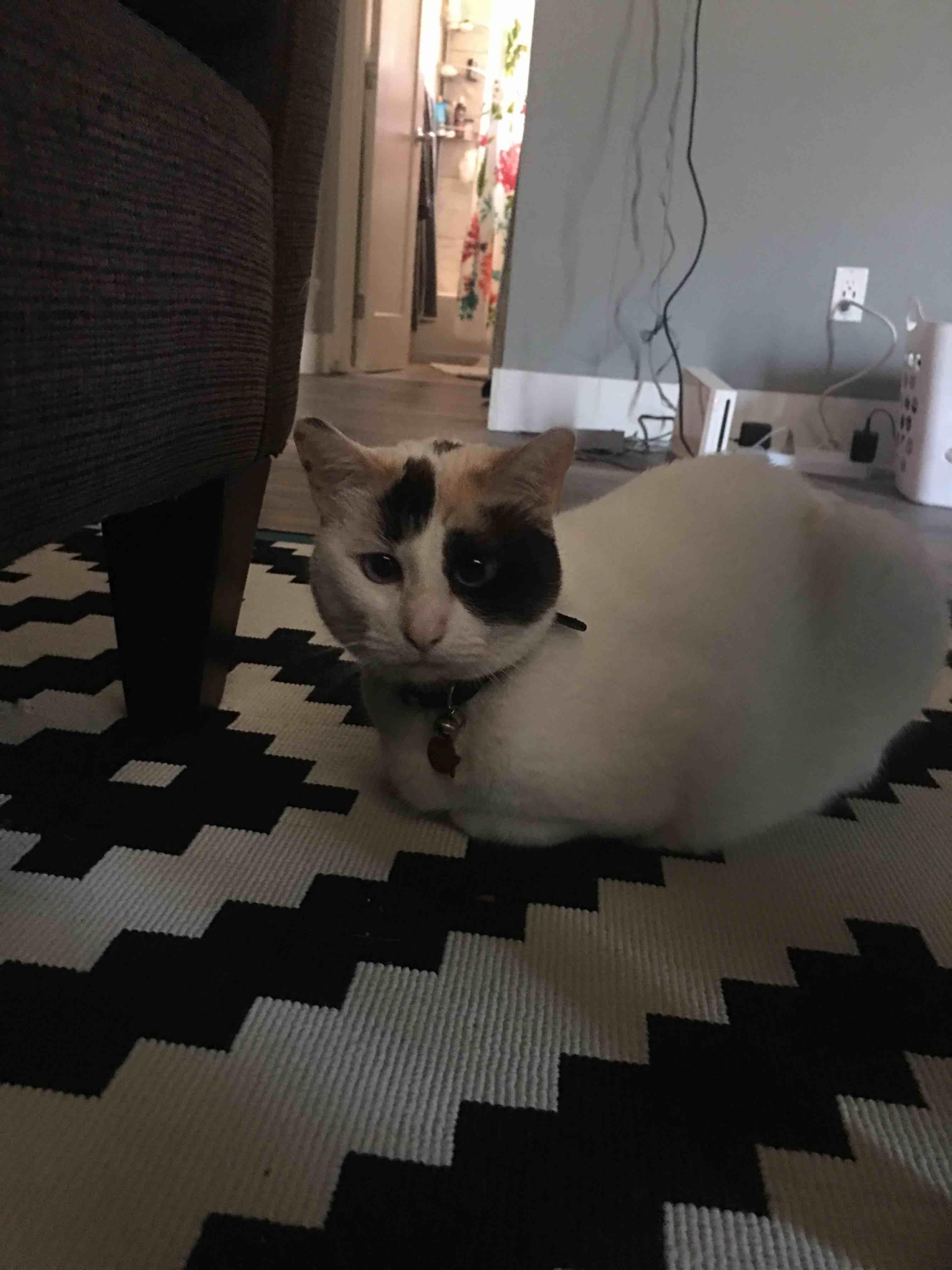 Question details sensitive content