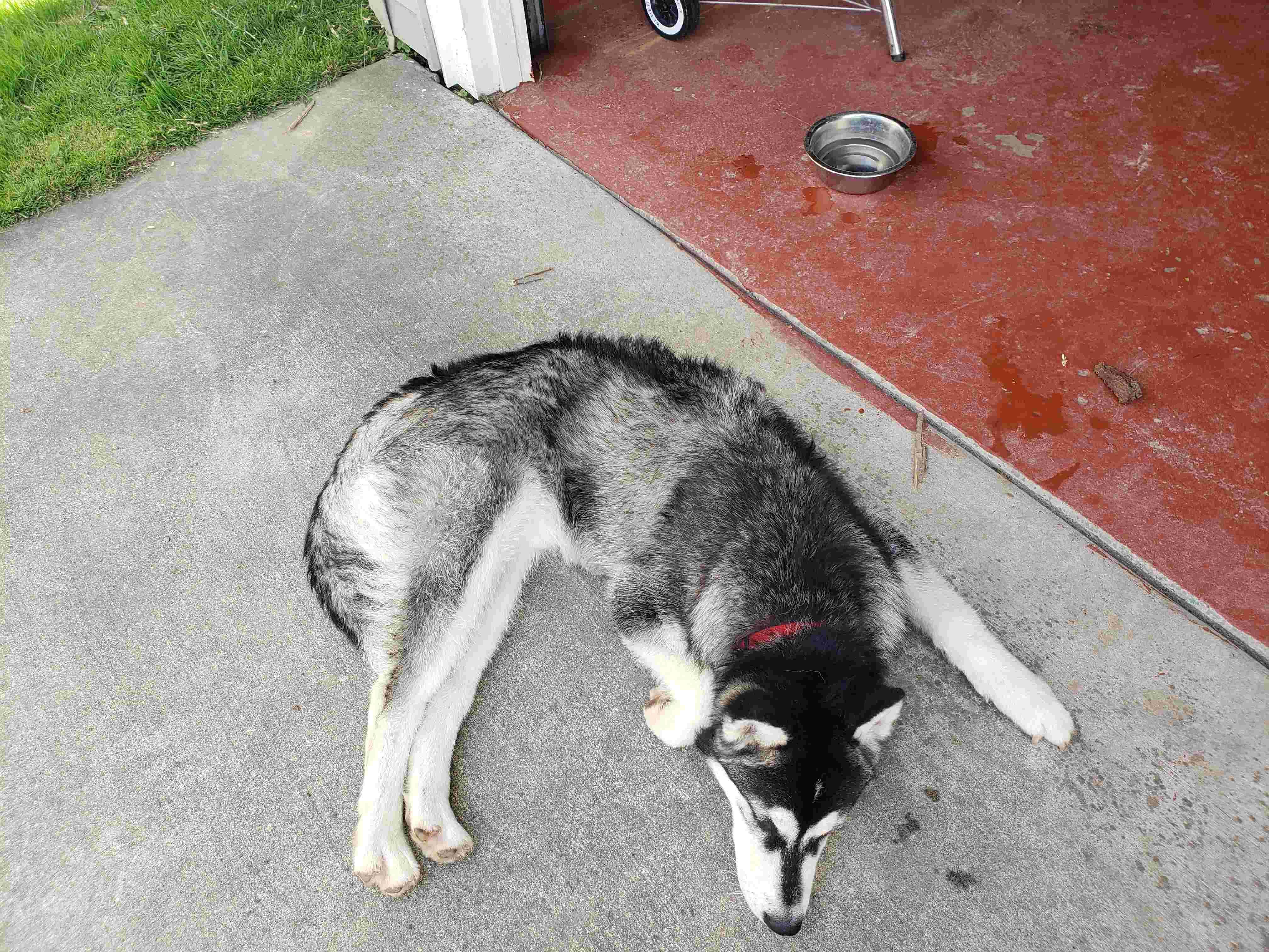 Question details sensitive content