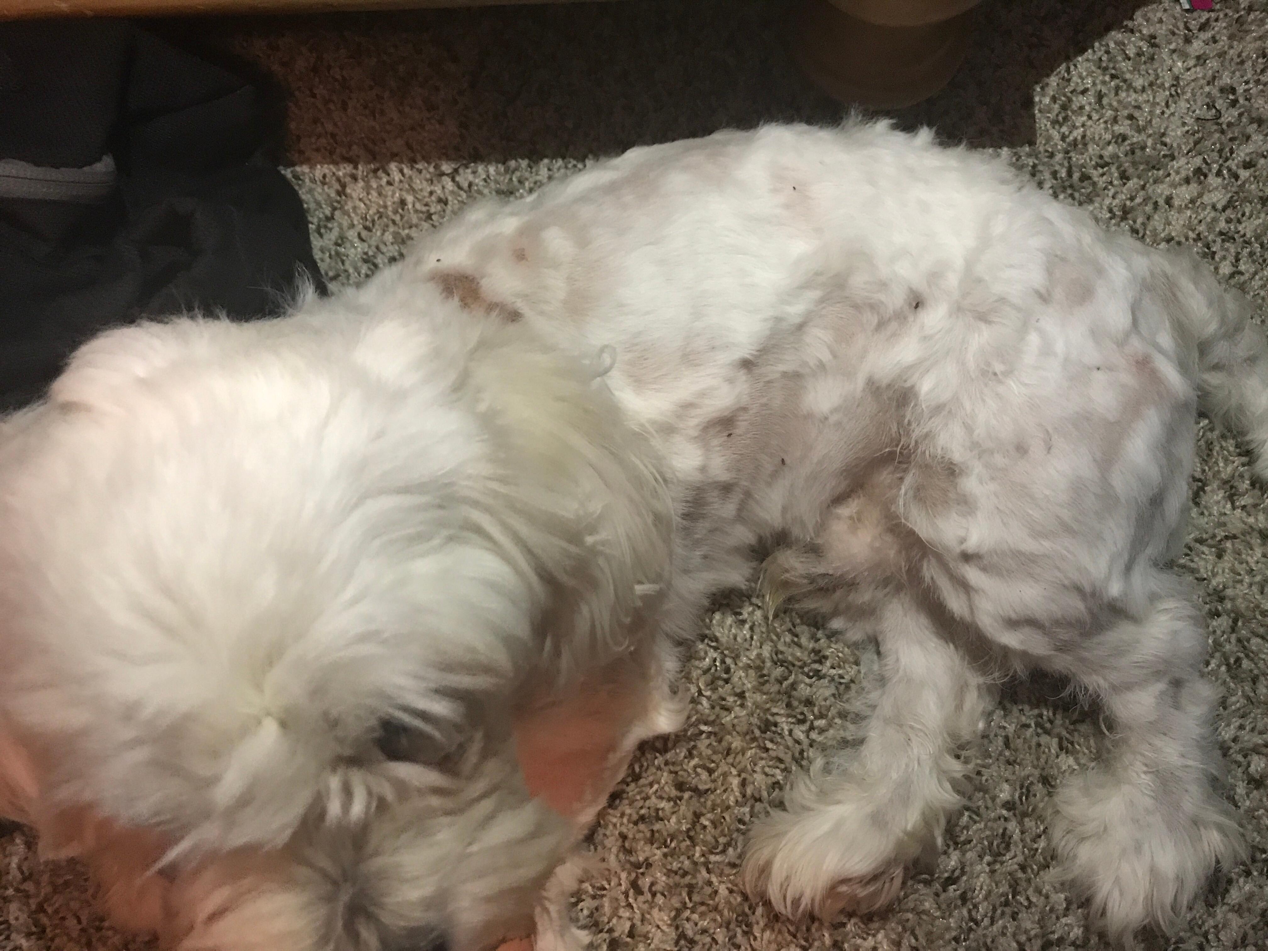 Question details sensitive content