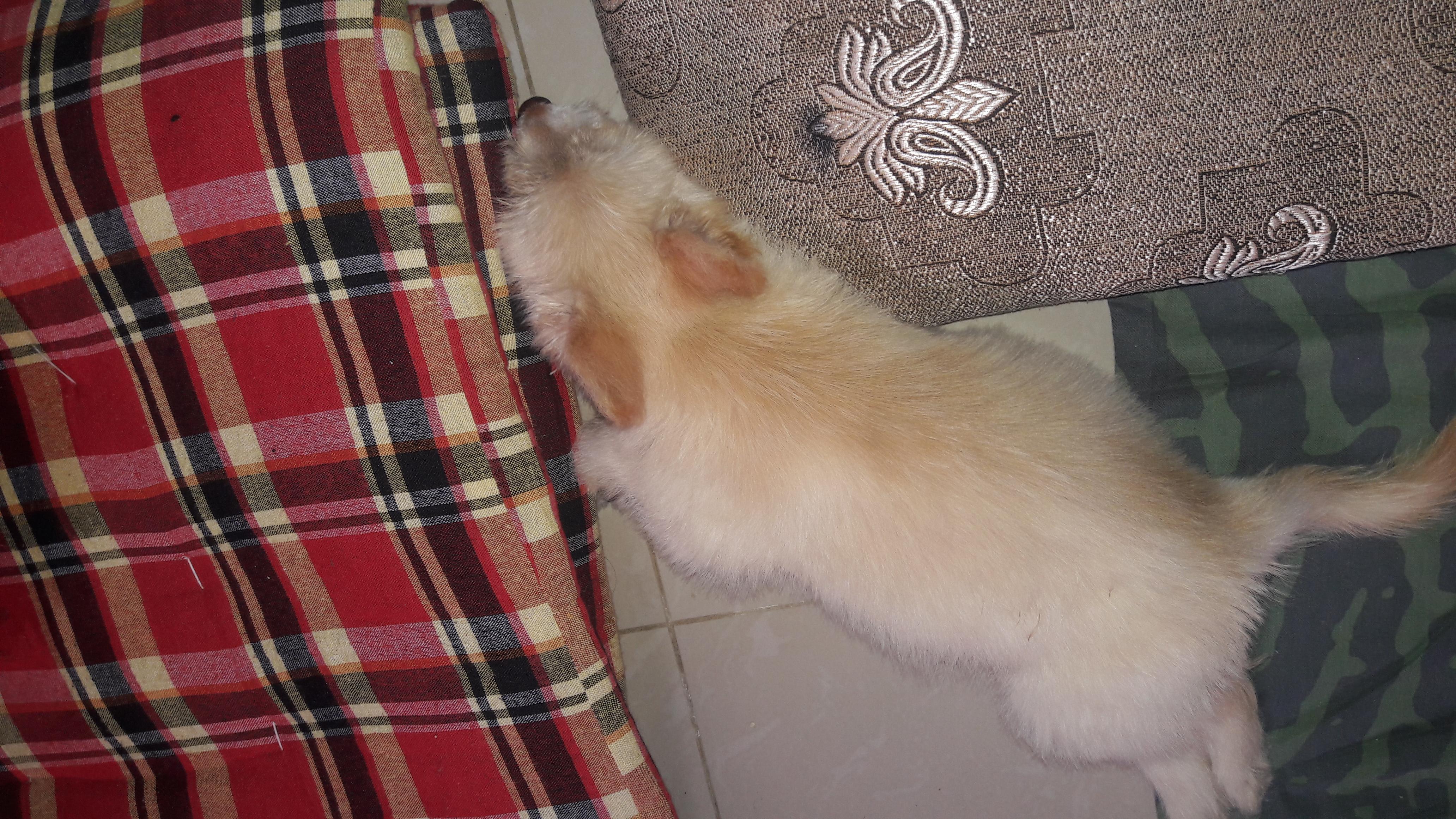 Question details sensitive content