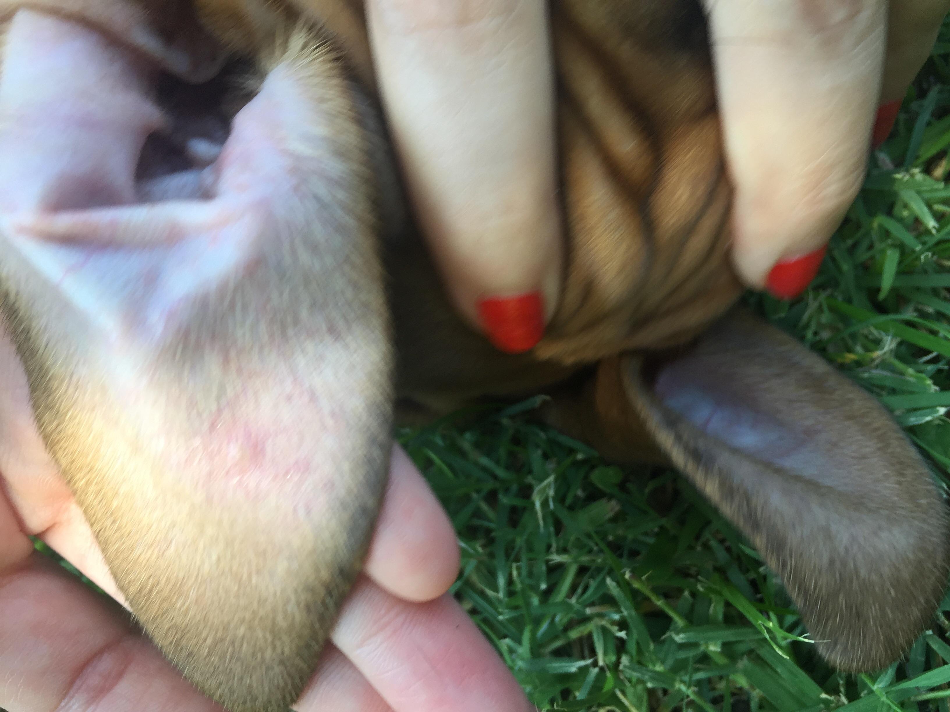 Question details sensitive content