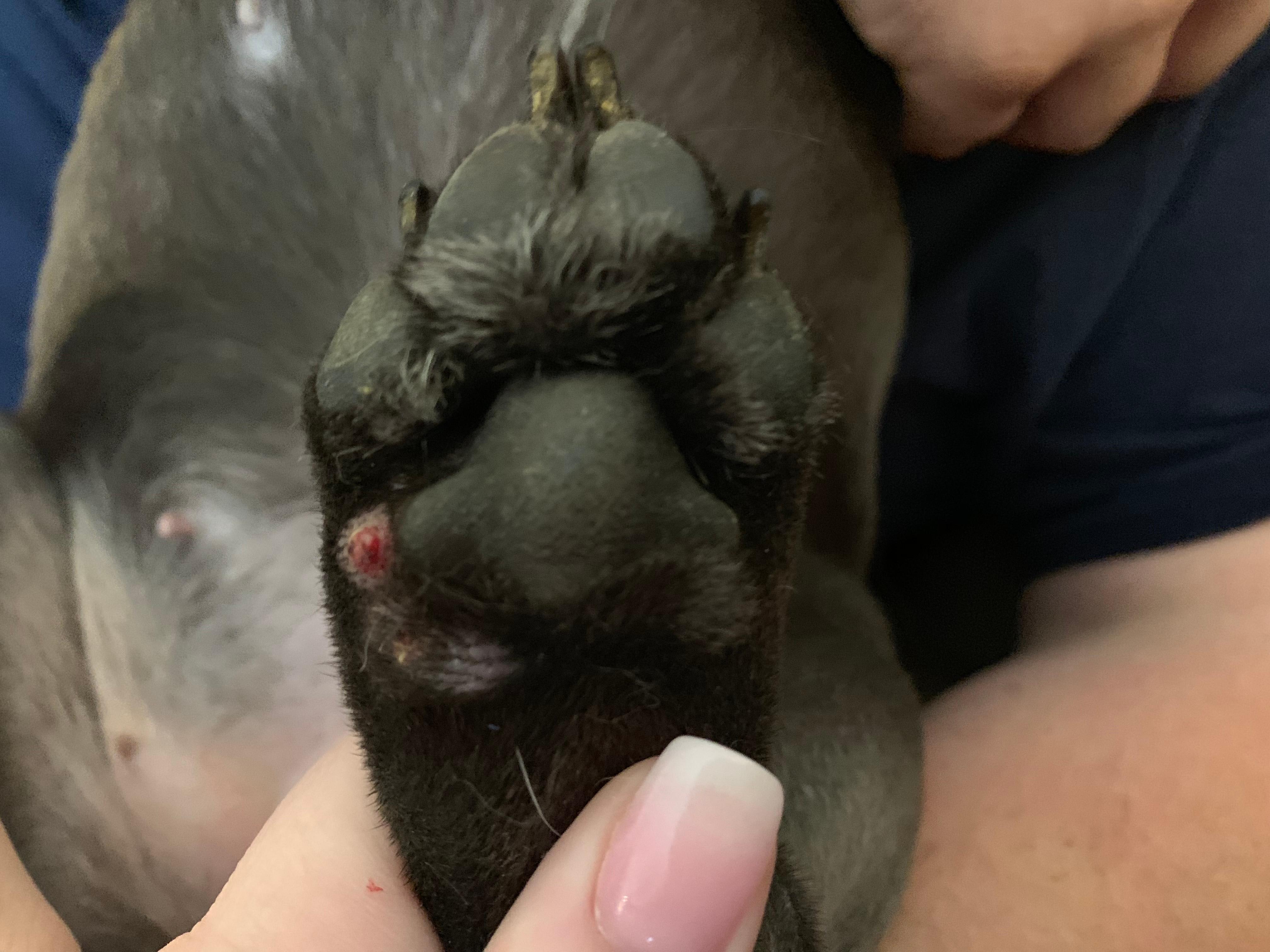 Question details sensitive content