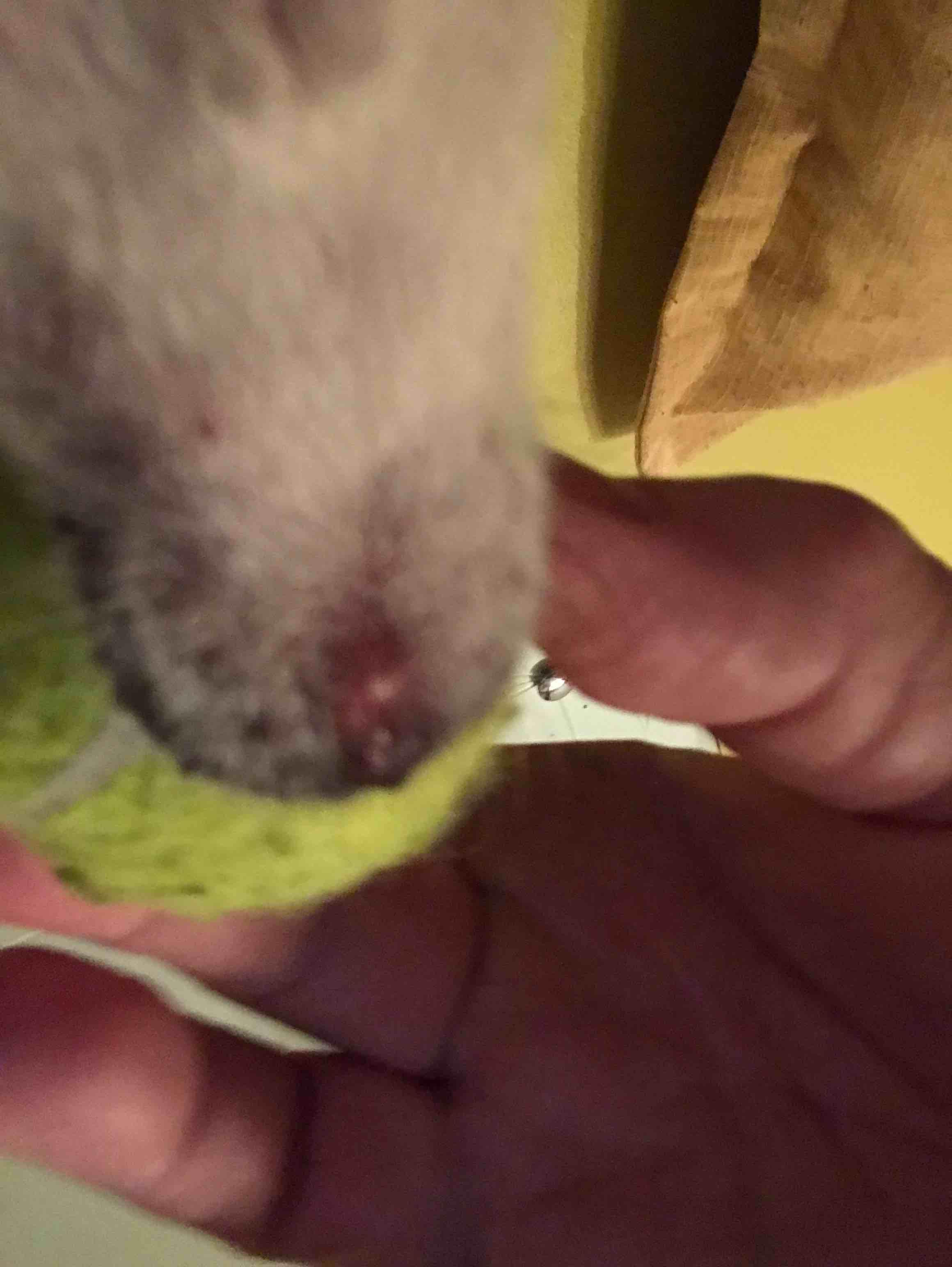 Question details sensitive content