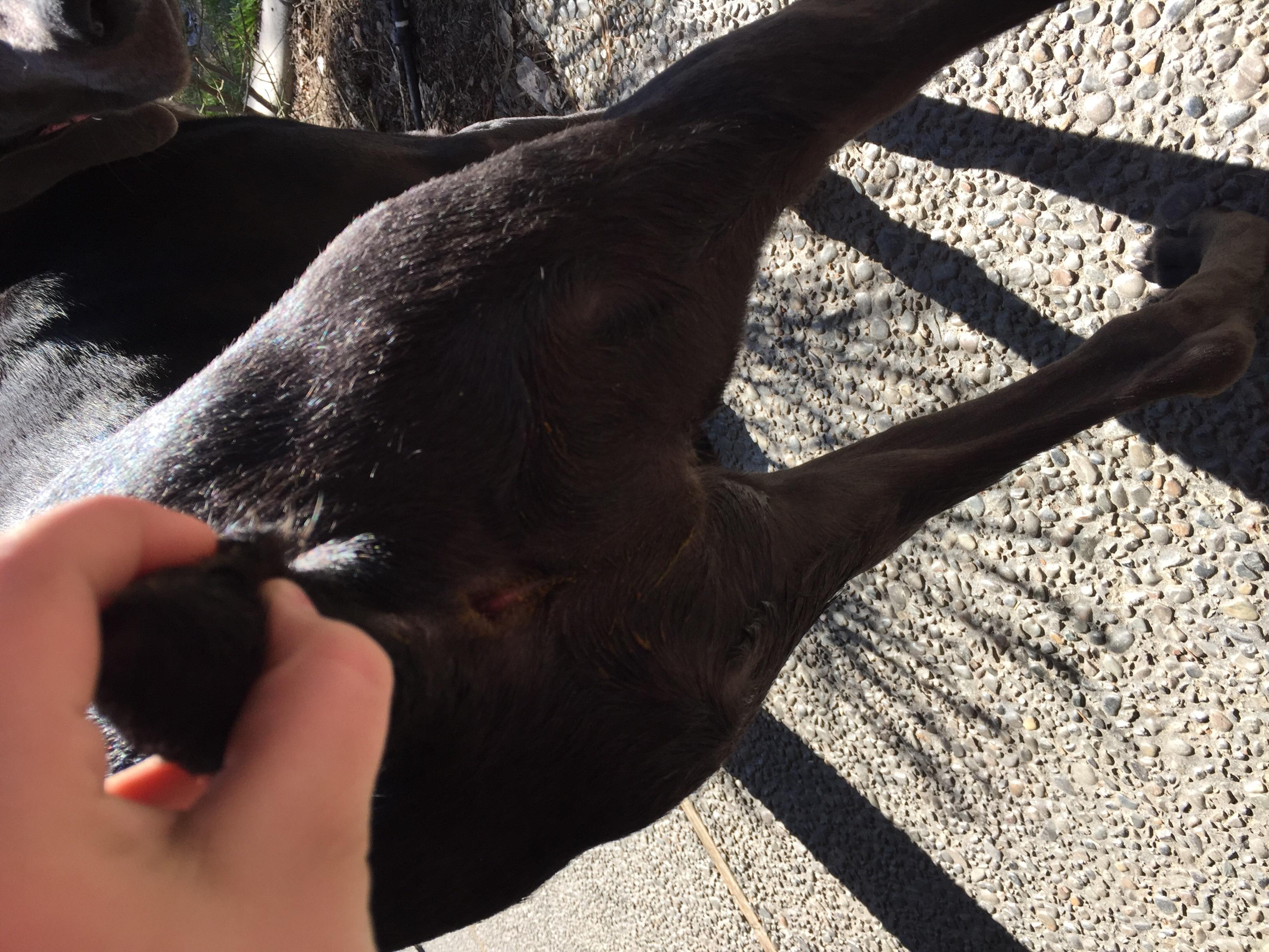 Question details sensitive content