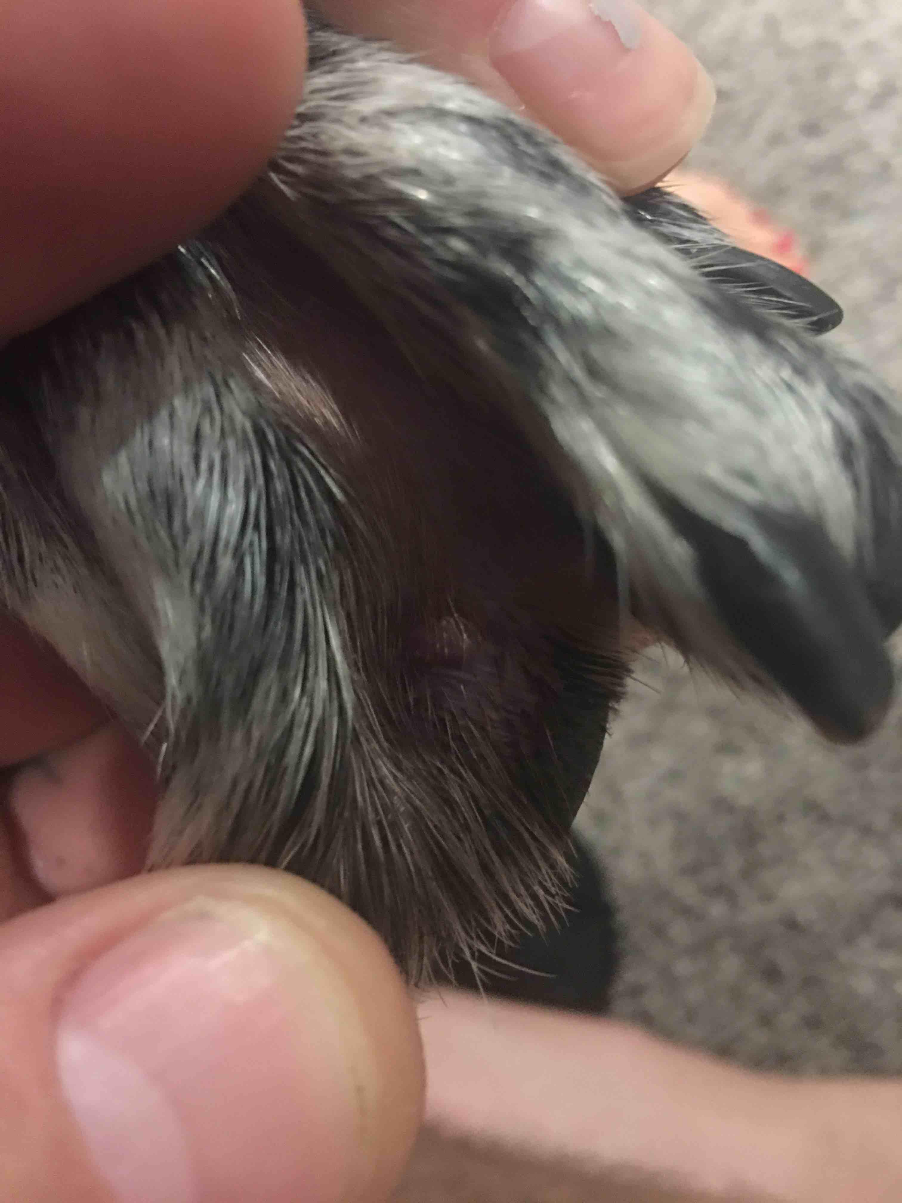 Question details sensitive content