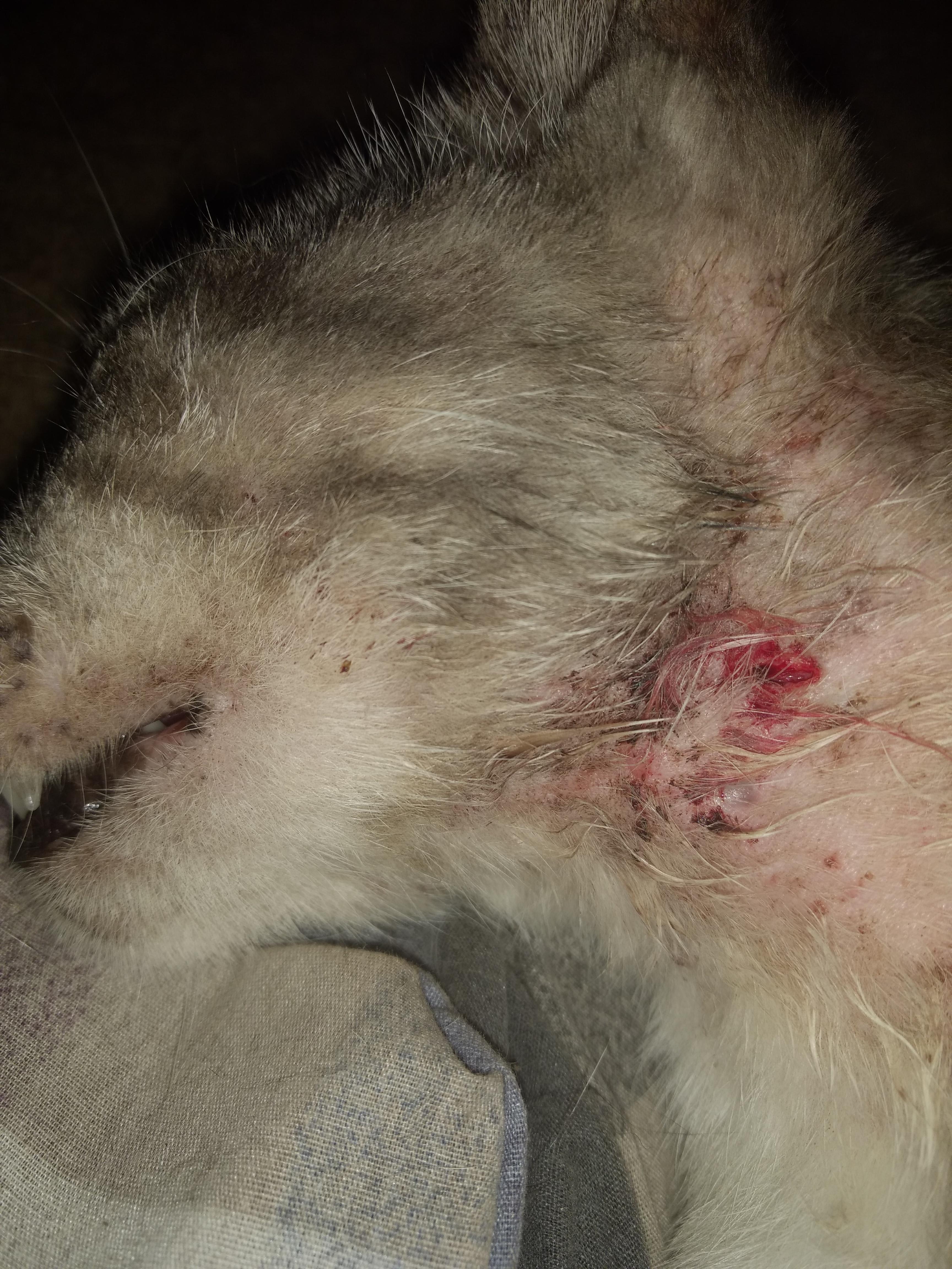 Question details sensitive content