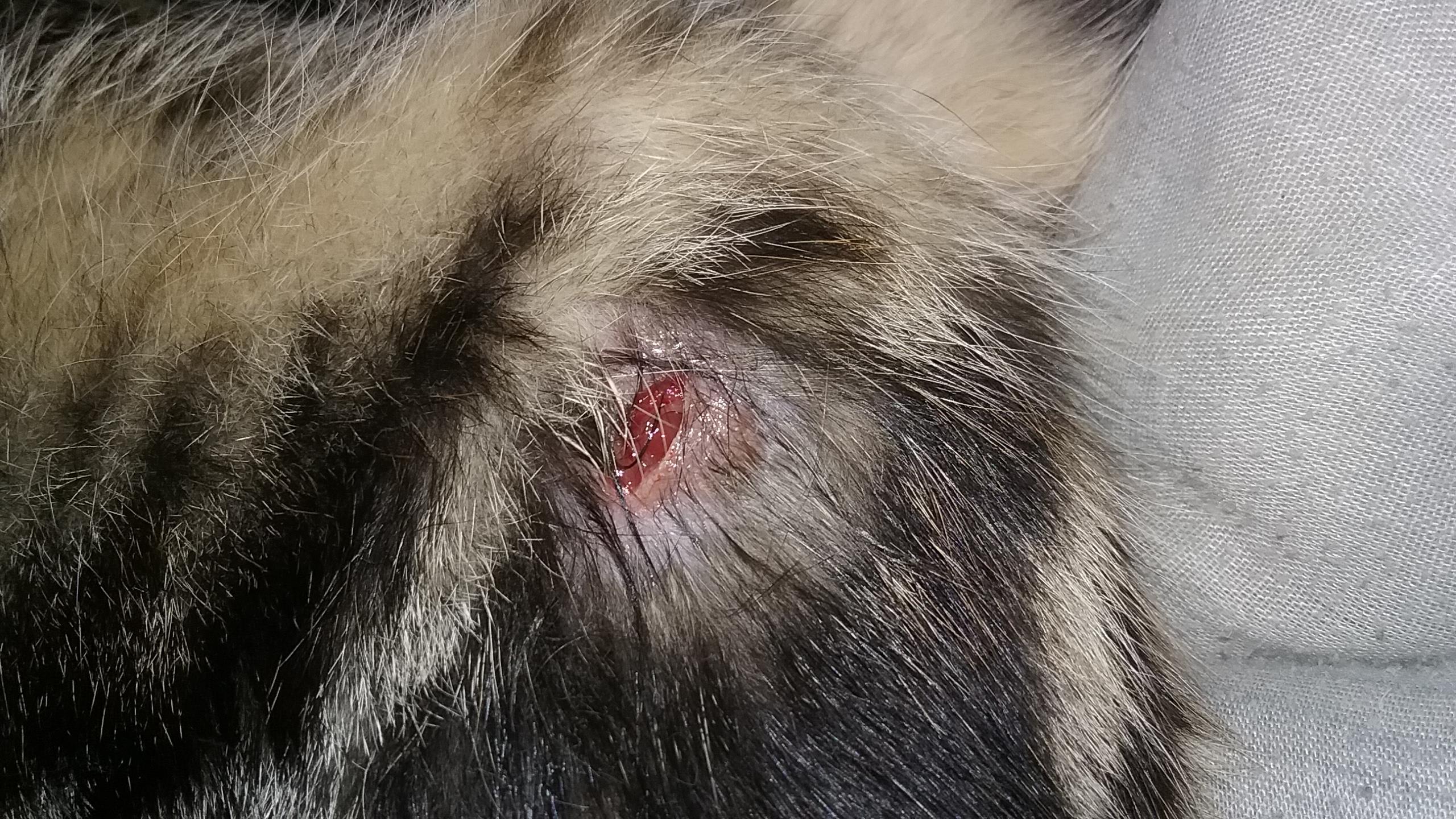 Question details sensitive content