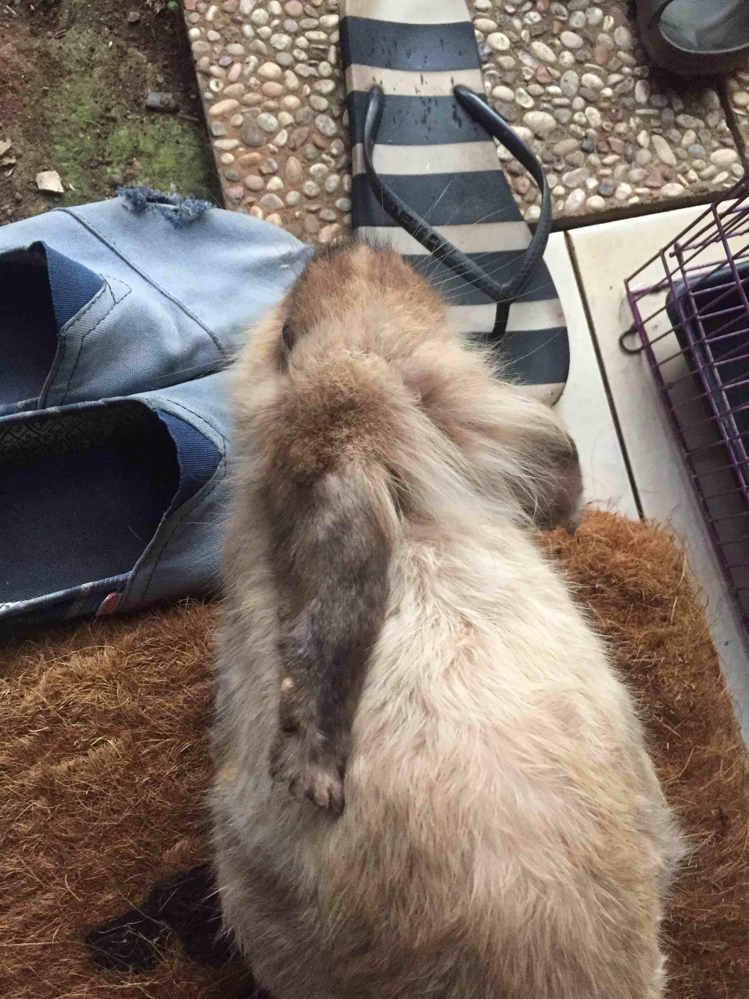 Question details sensitive content