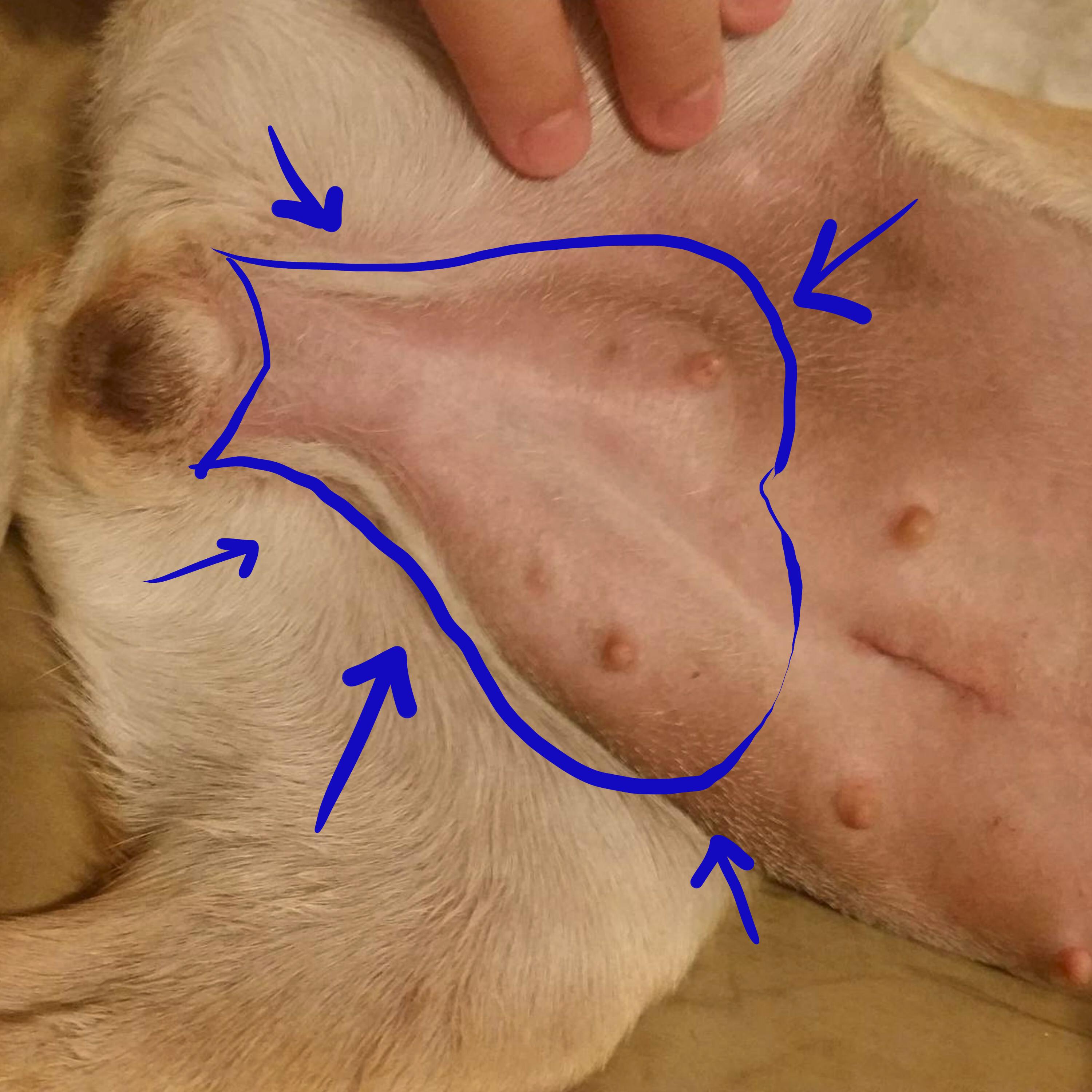 Question details sensitive content