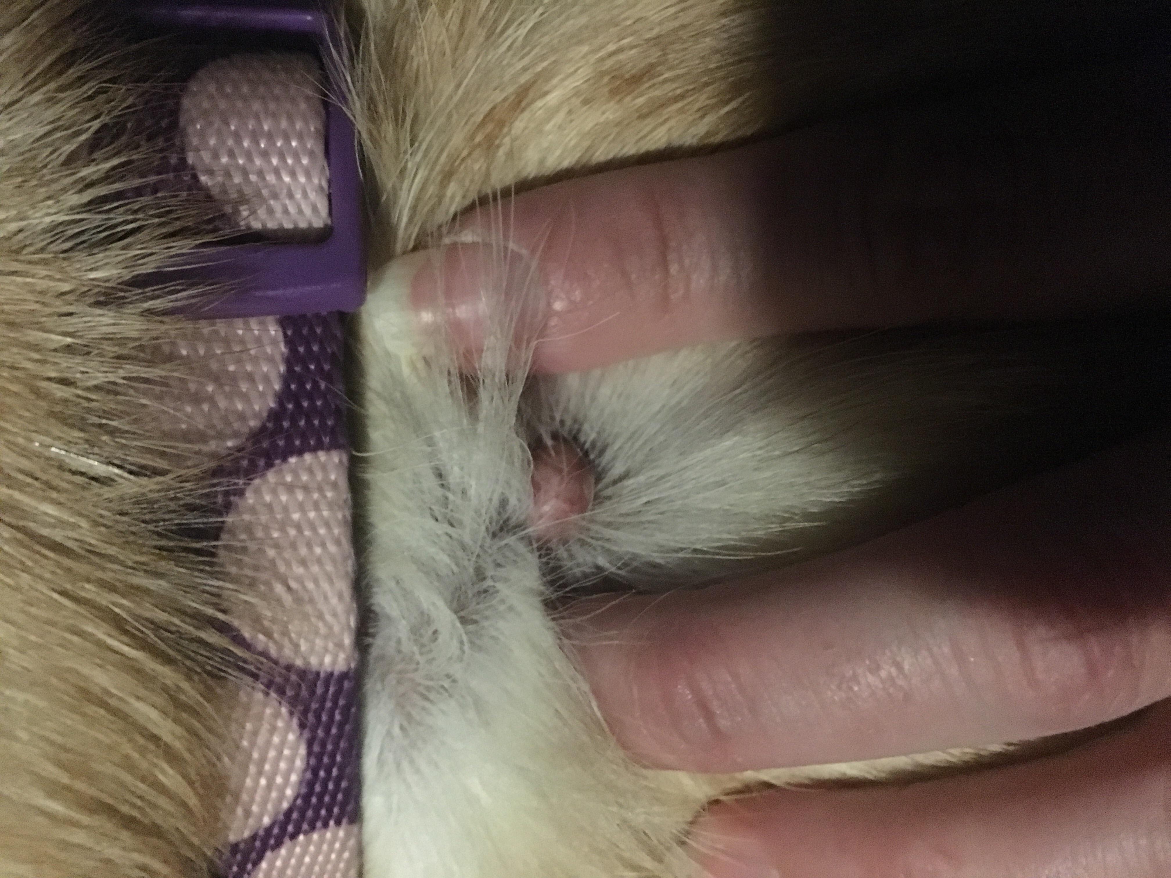 Question details sensitive content