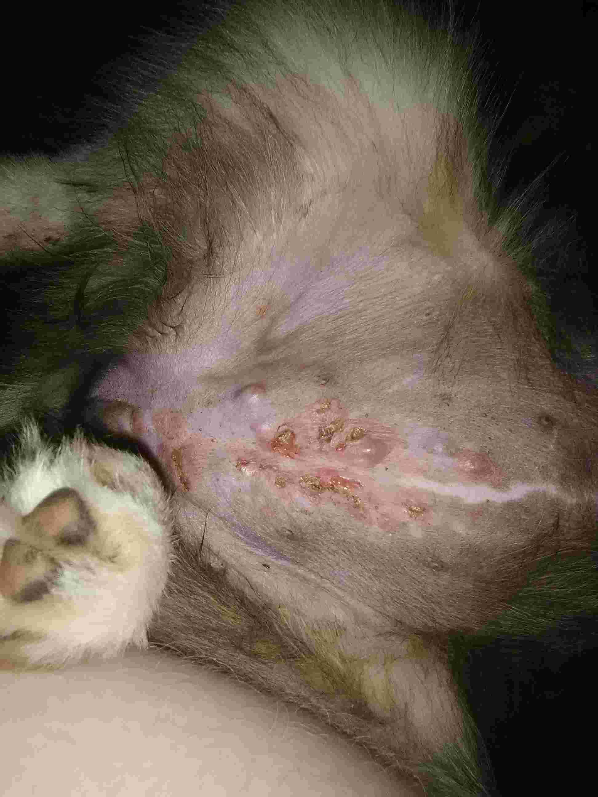 Question details sensitive content