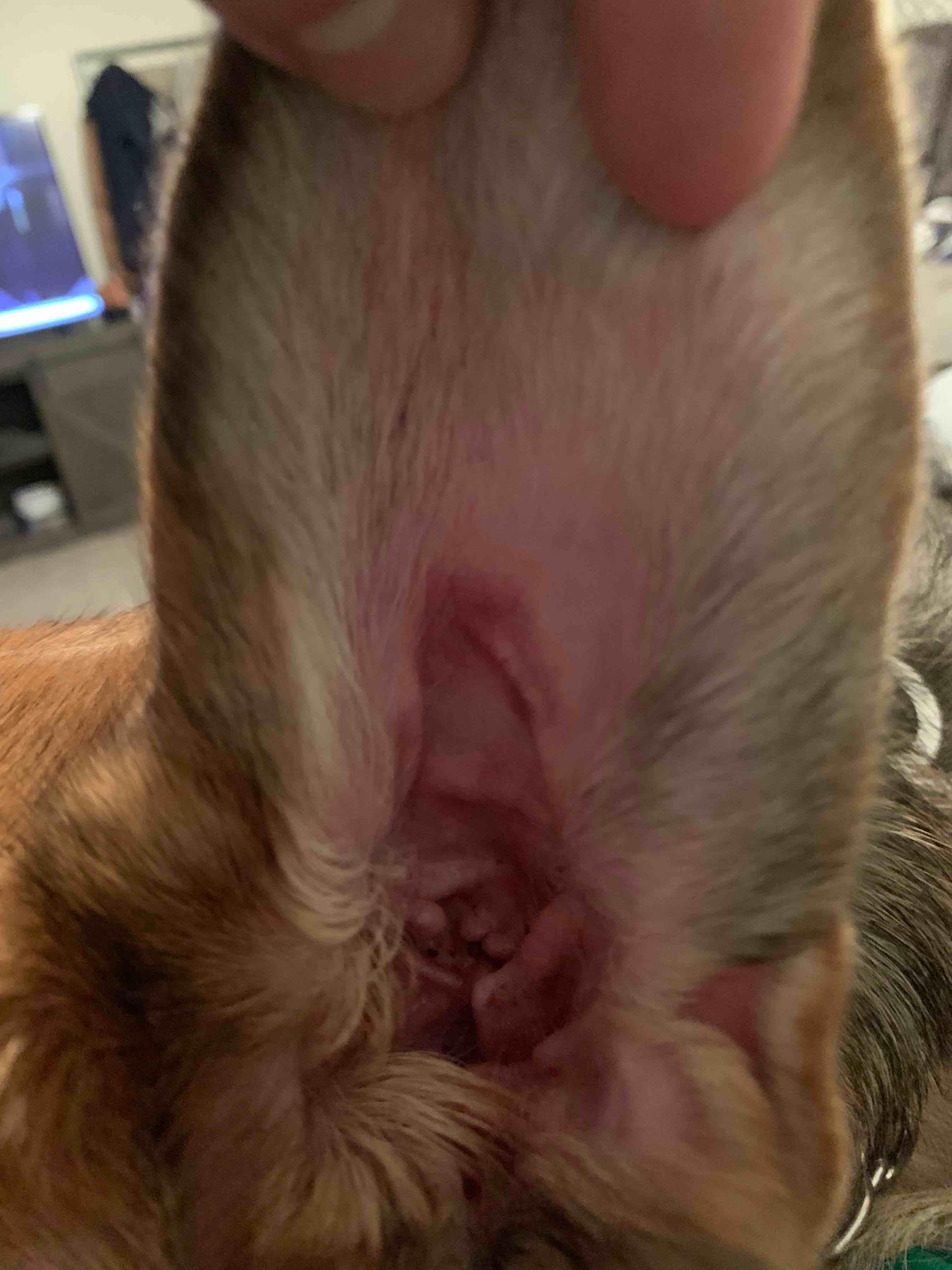 Question details sensitive content