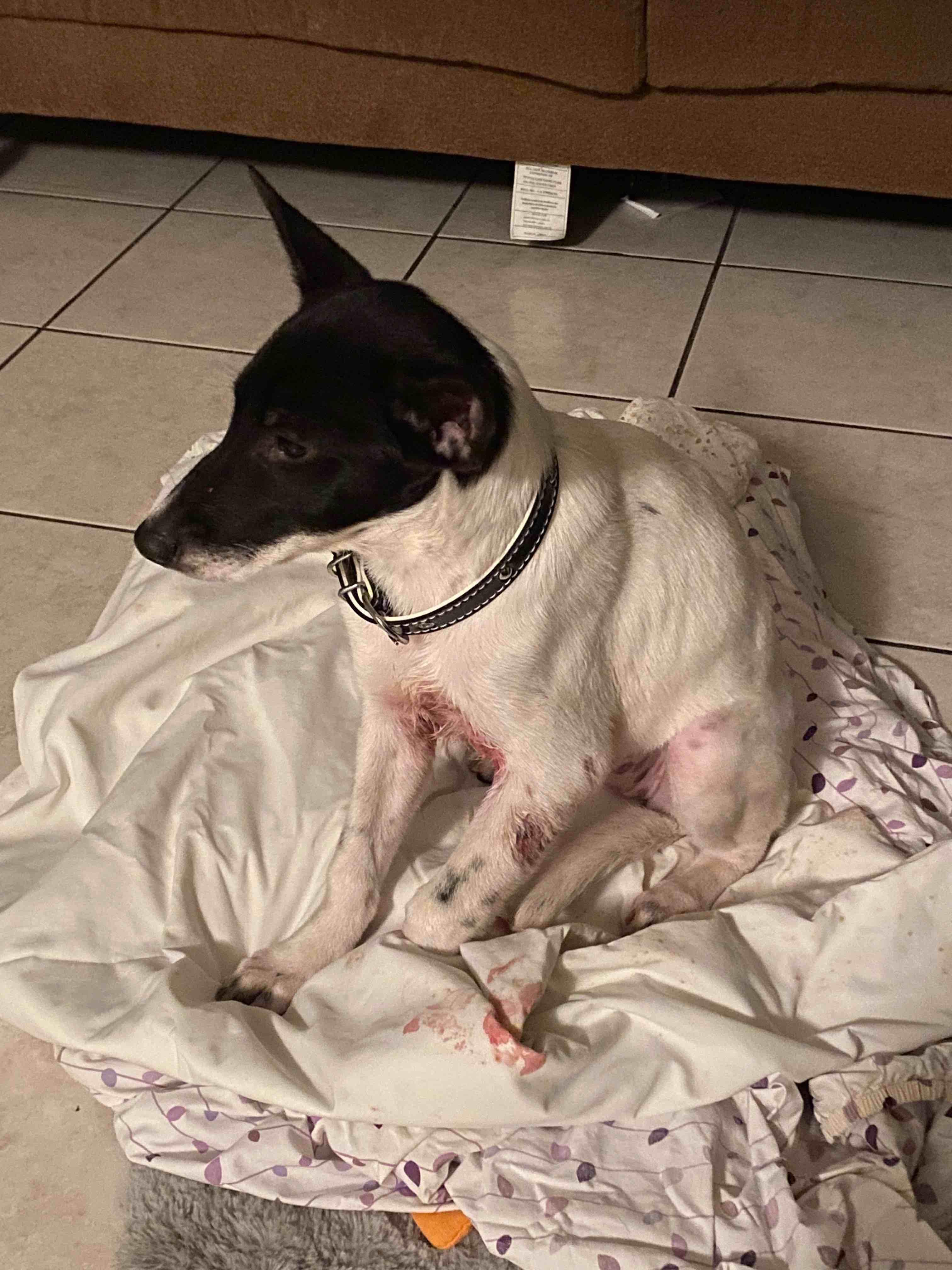 Question details sensitive content