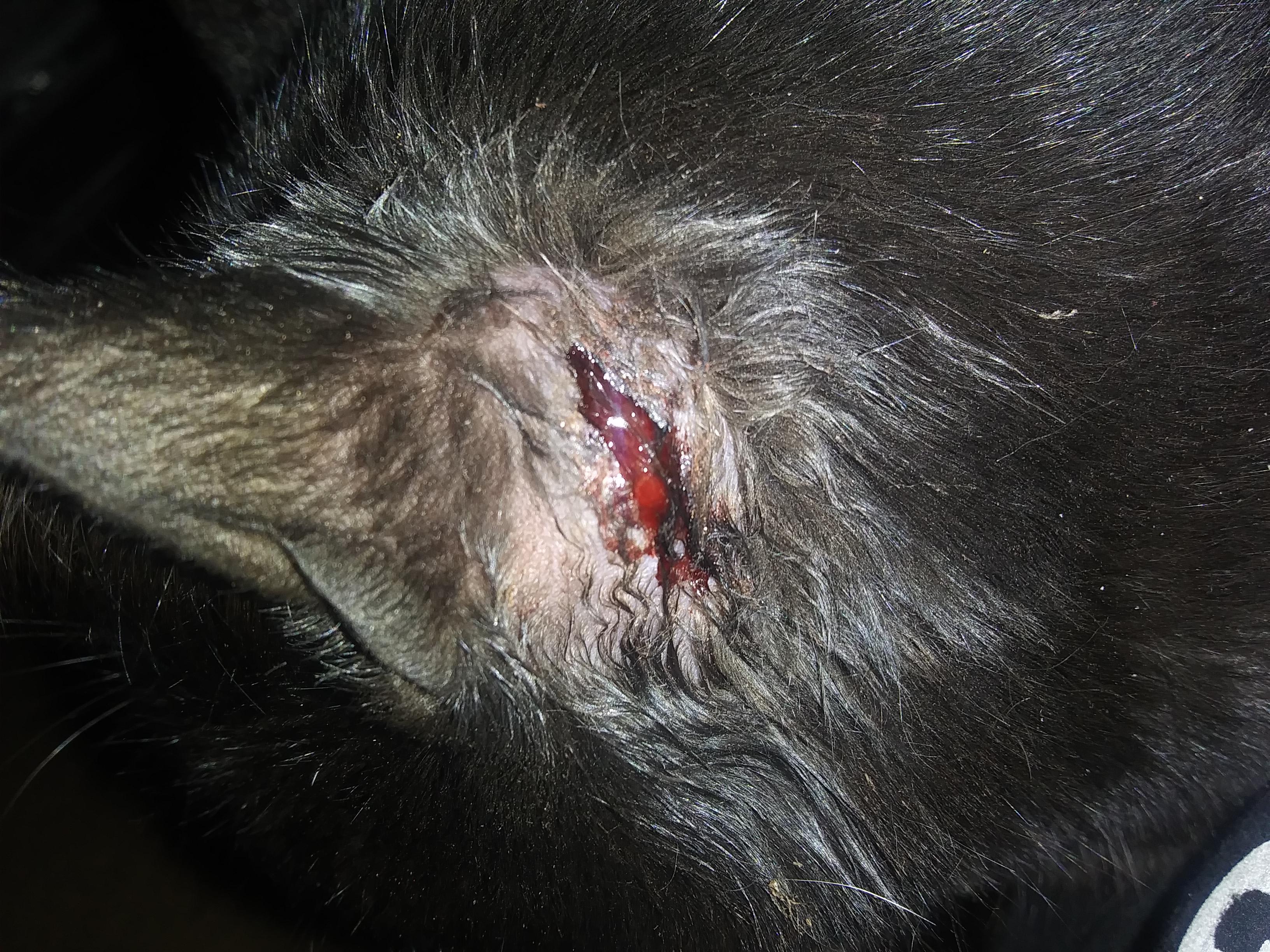 Question details sensitive content