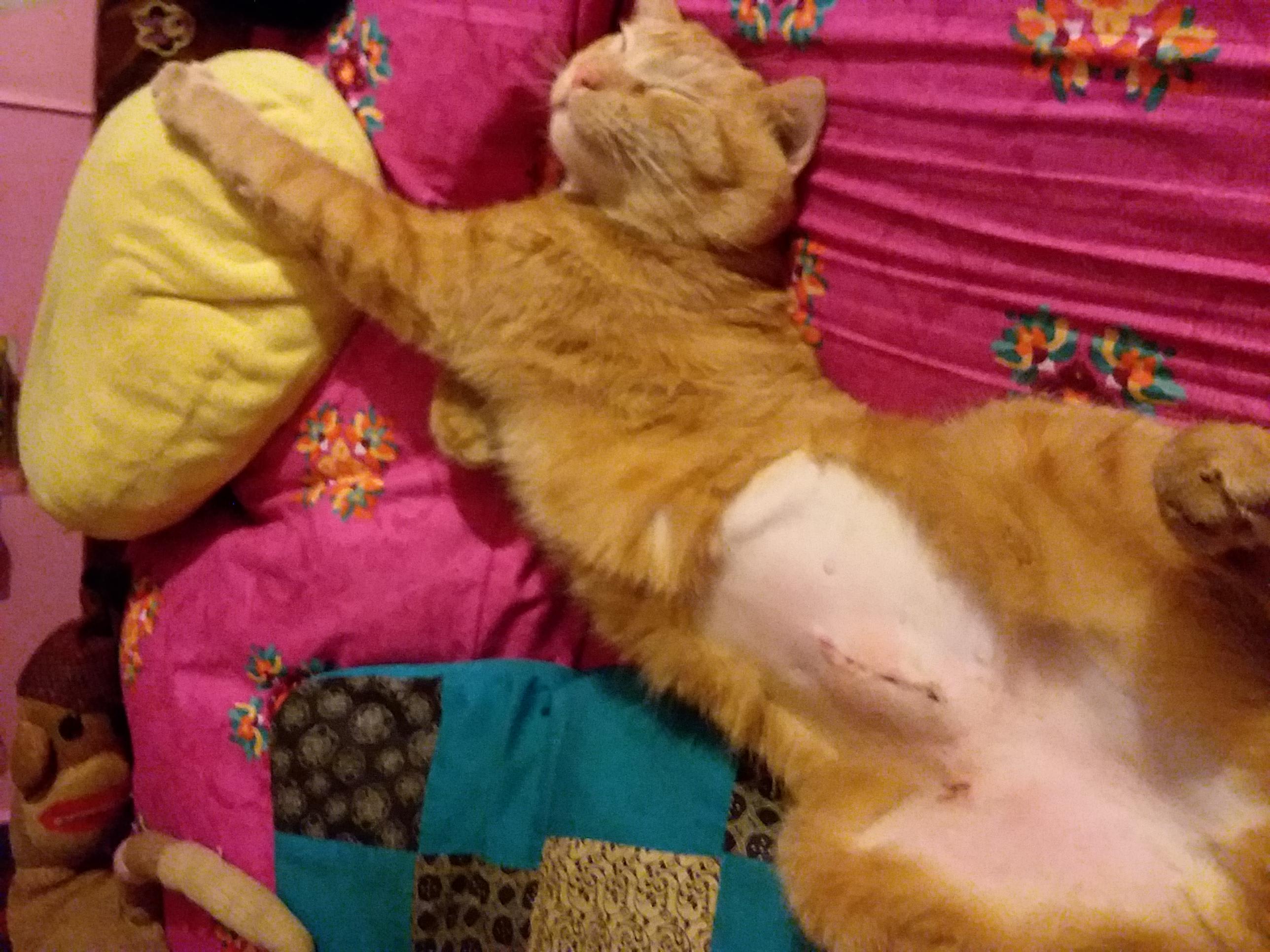 Question details sensitive content