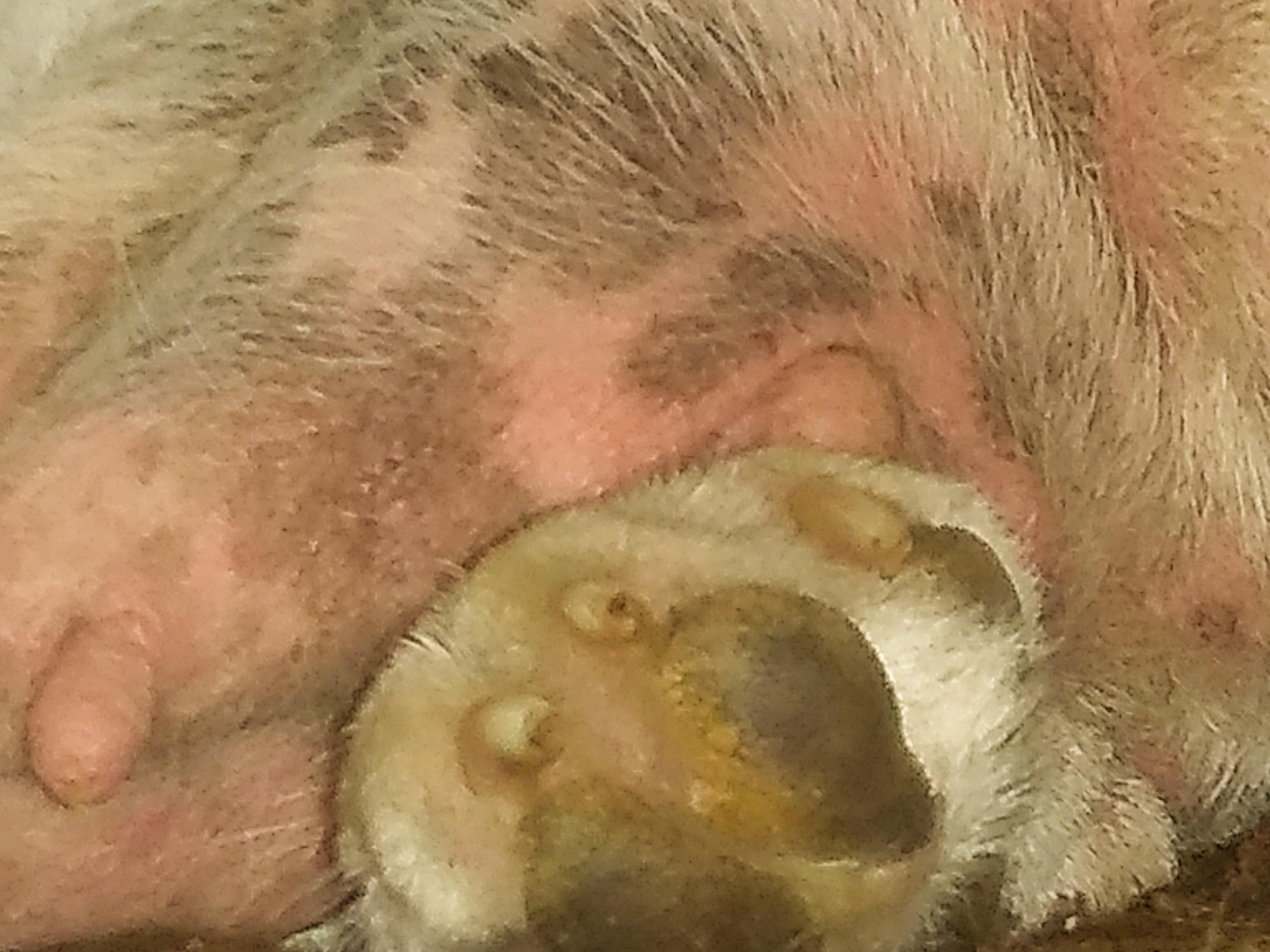 Question details sensitive content