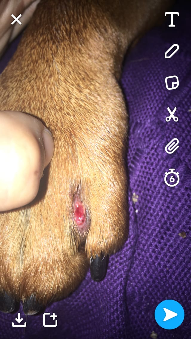 Question details sensitive content